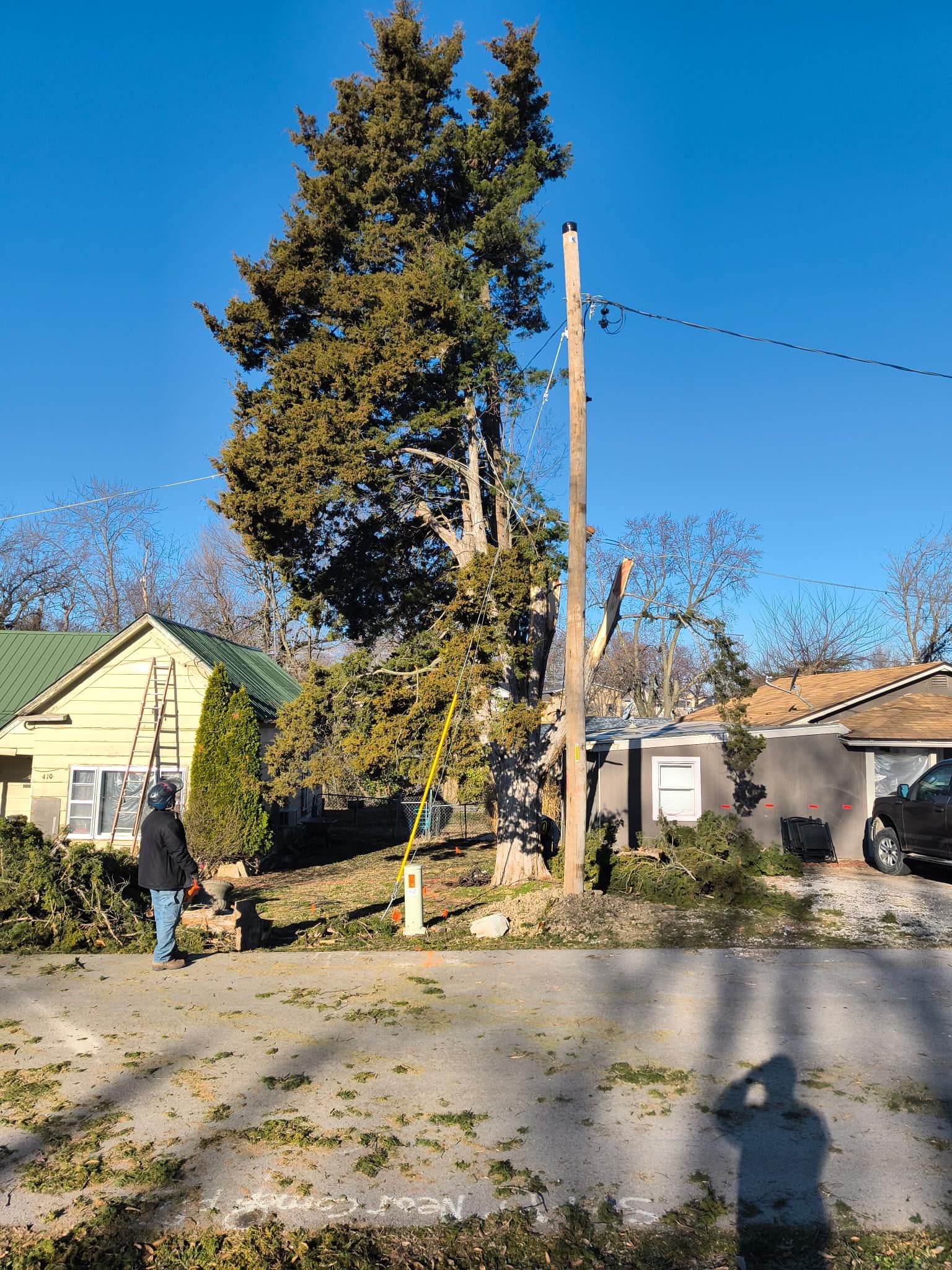 Tree Removal for Cross Family Tree Service in Kearney, MO