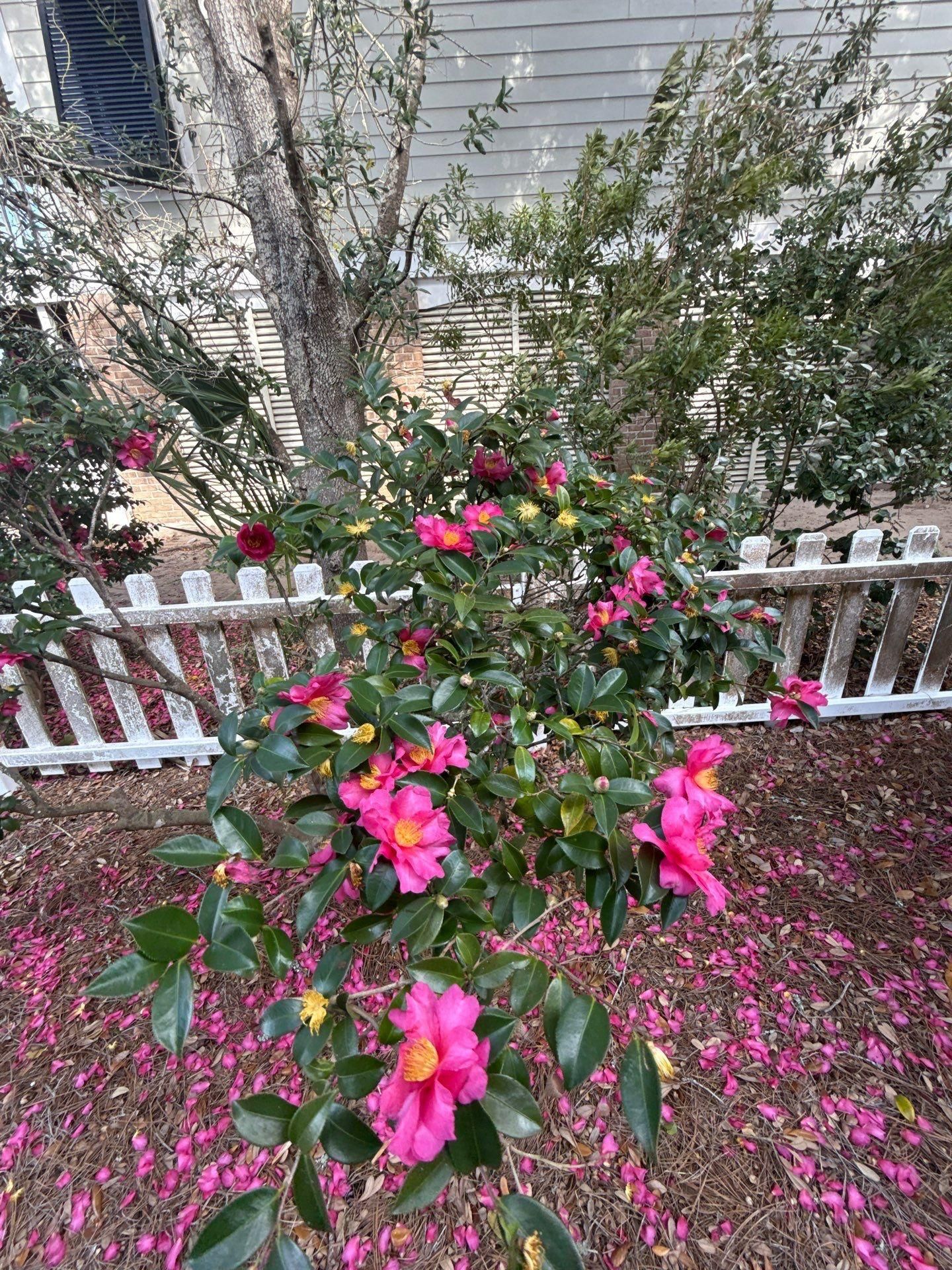  for Pawleys Island Concierge LLC in Pawleys Island, SC