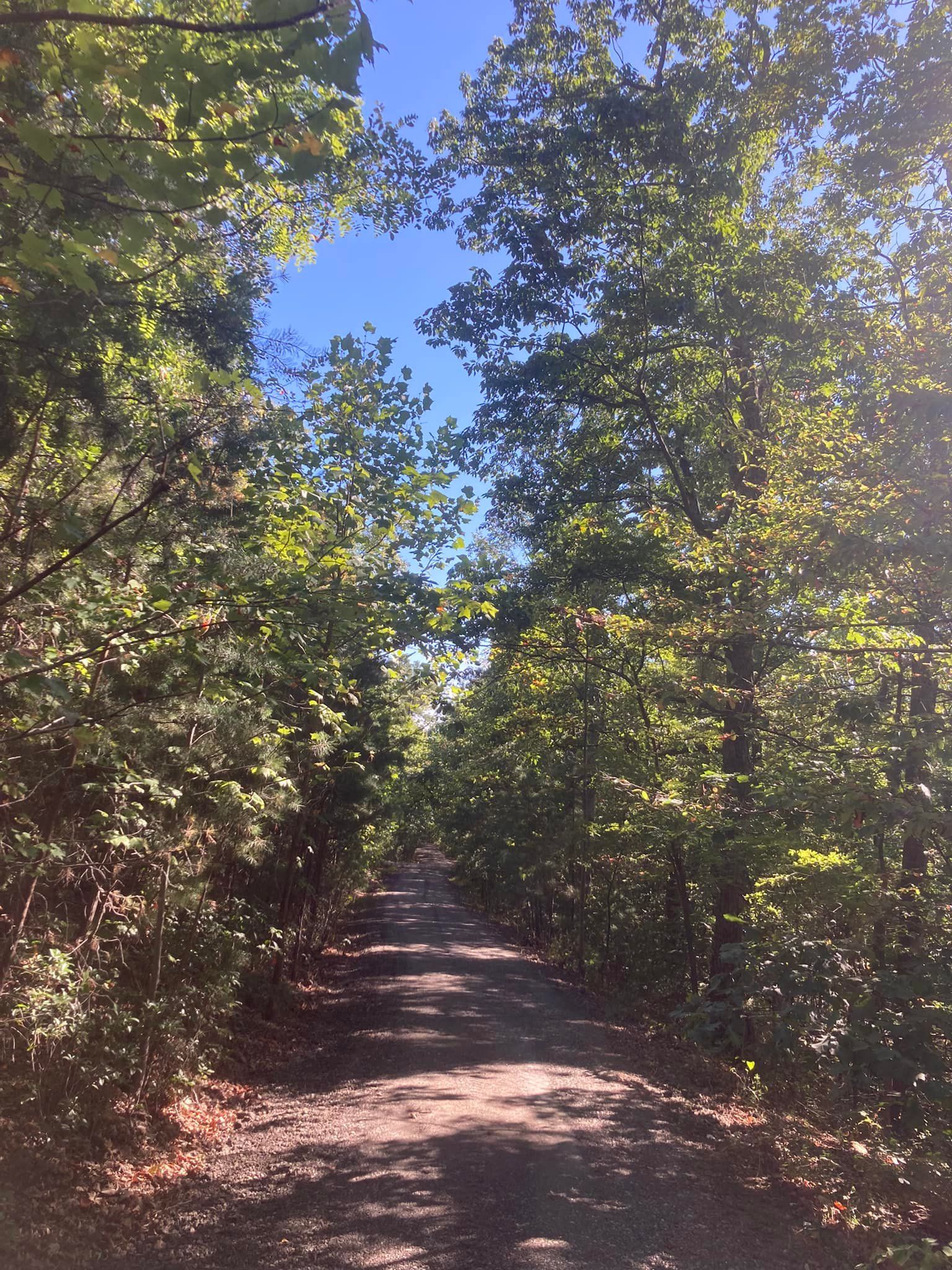  for 9999 Building and Renovation LLC in Warrenton, VA