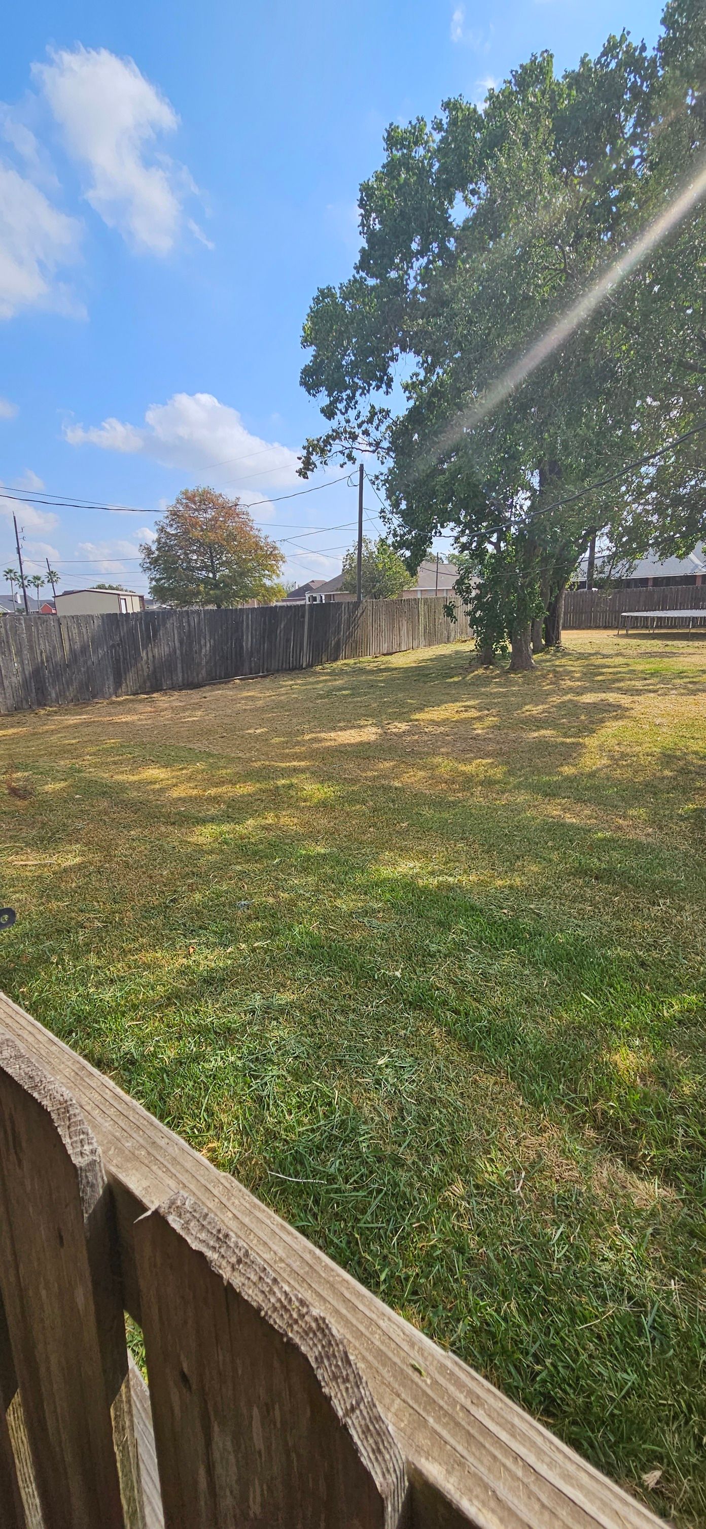 All Photos for Gulf-Tex Lawn Care in Baytown, TX