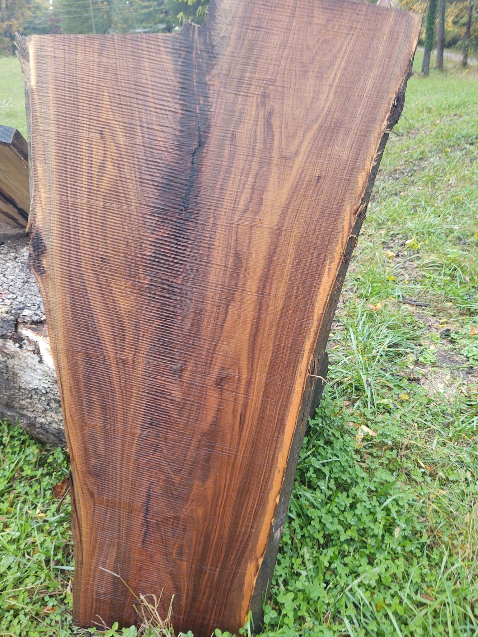 Wood Slabs for Bennett Logging in Gosport, Indiana