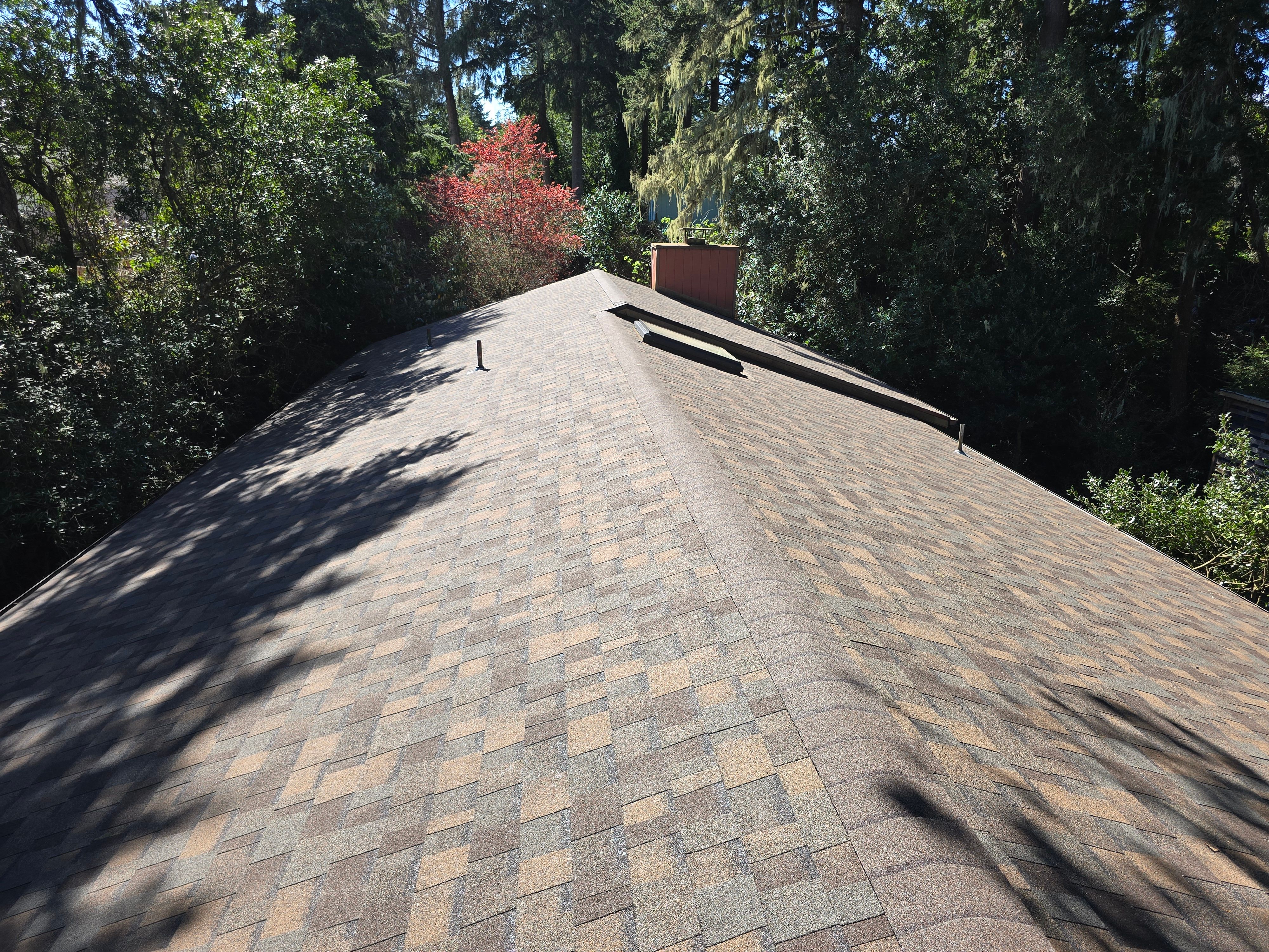 All Photos for Matthew Brooms Construction  in Coos Bay, OR