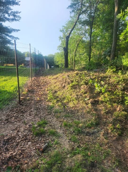  for Lawn Ranger Yard And Tree Service LLC in Ottumwa, IA
