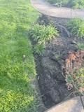  for Bearforce Lawn Care LLC in Greenfield, IN
