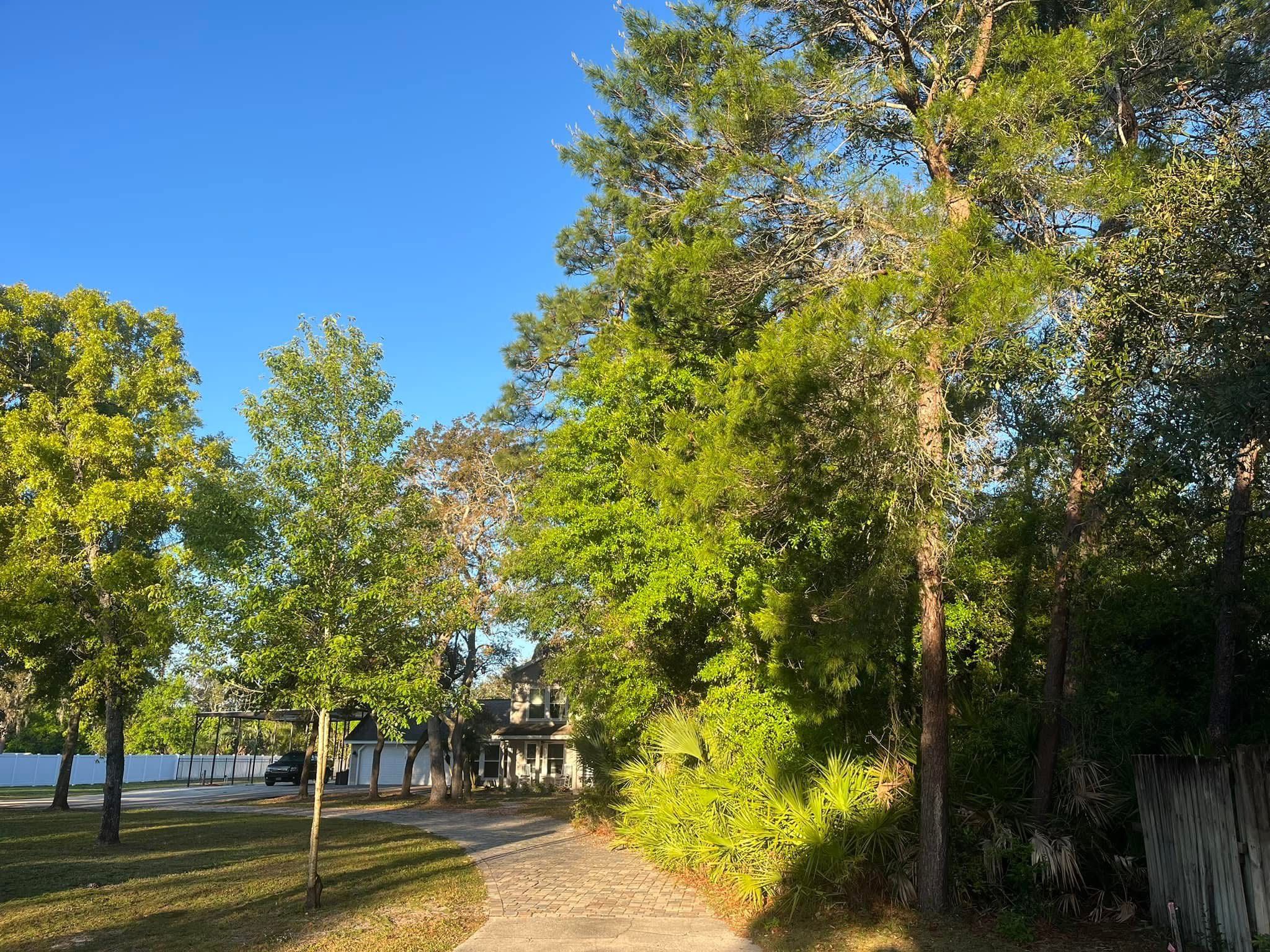  for Tomoka Site Works in Ormond Beach, FL