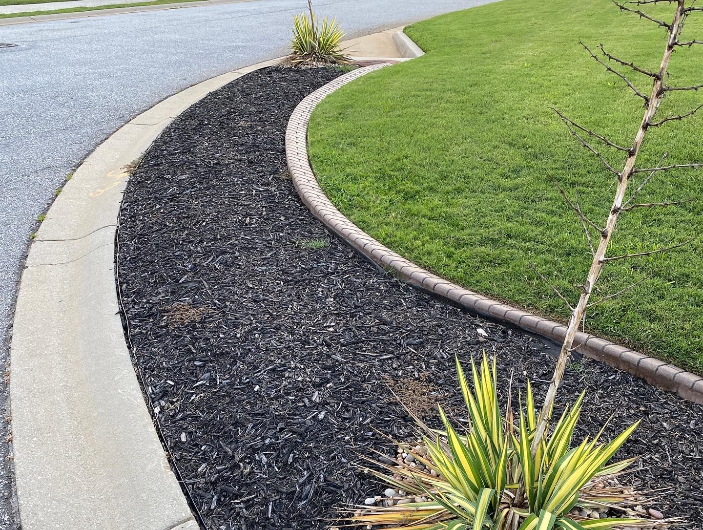 Landscaping for JIF Concrete Services in Greenville, SC