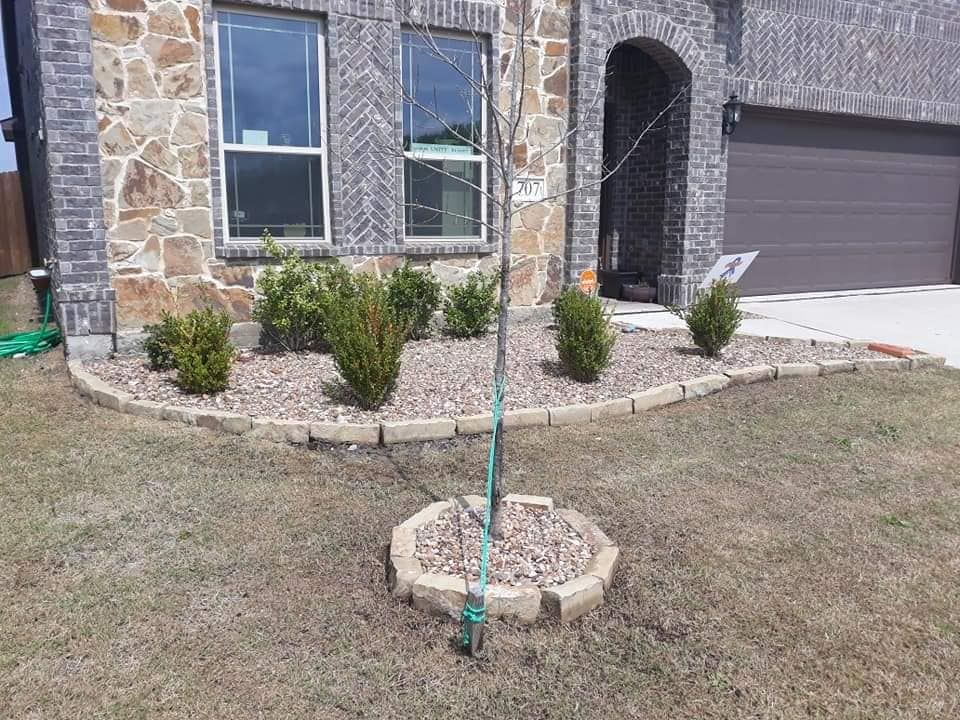  for Lavon Lawn Plus in Lavon, TX