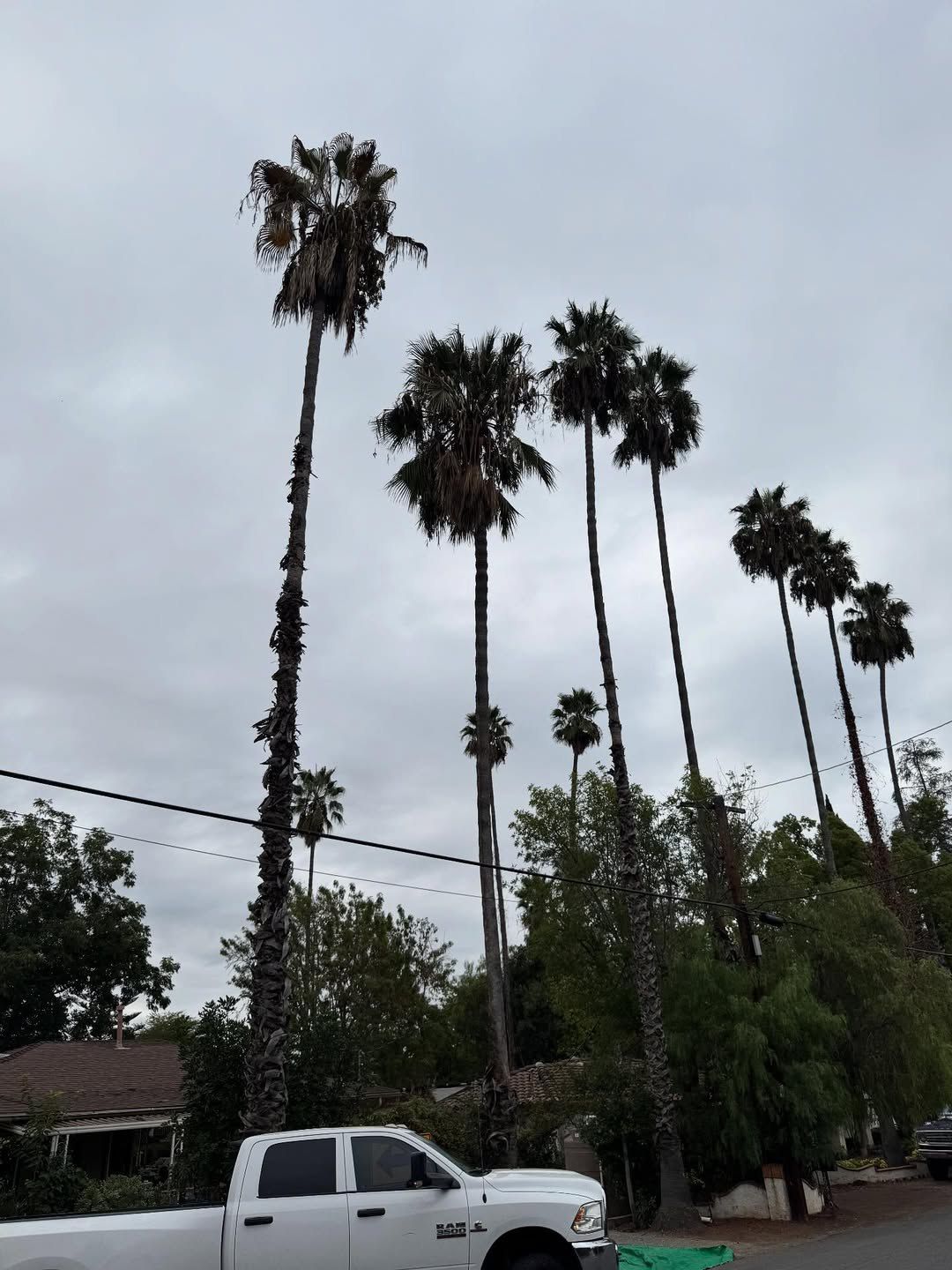  for Herreras Land Service in San Diego, CA