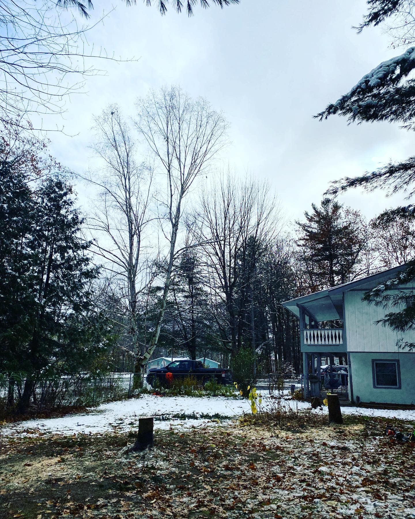 Tree Removal for Bear Creek Tree Service LLC in Rudyard, MI