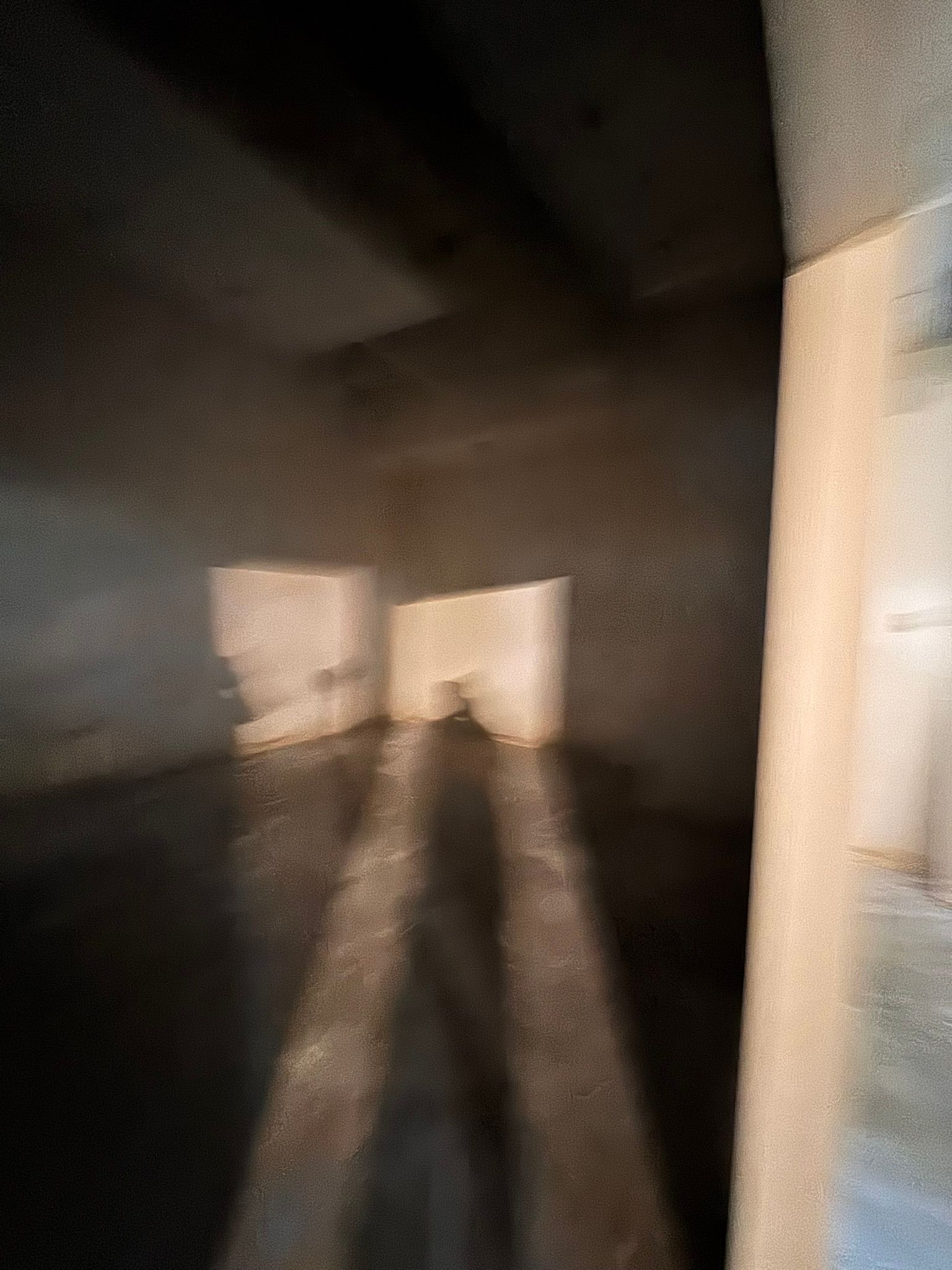  for Tony's Remodeling & Painting in Renton, WA