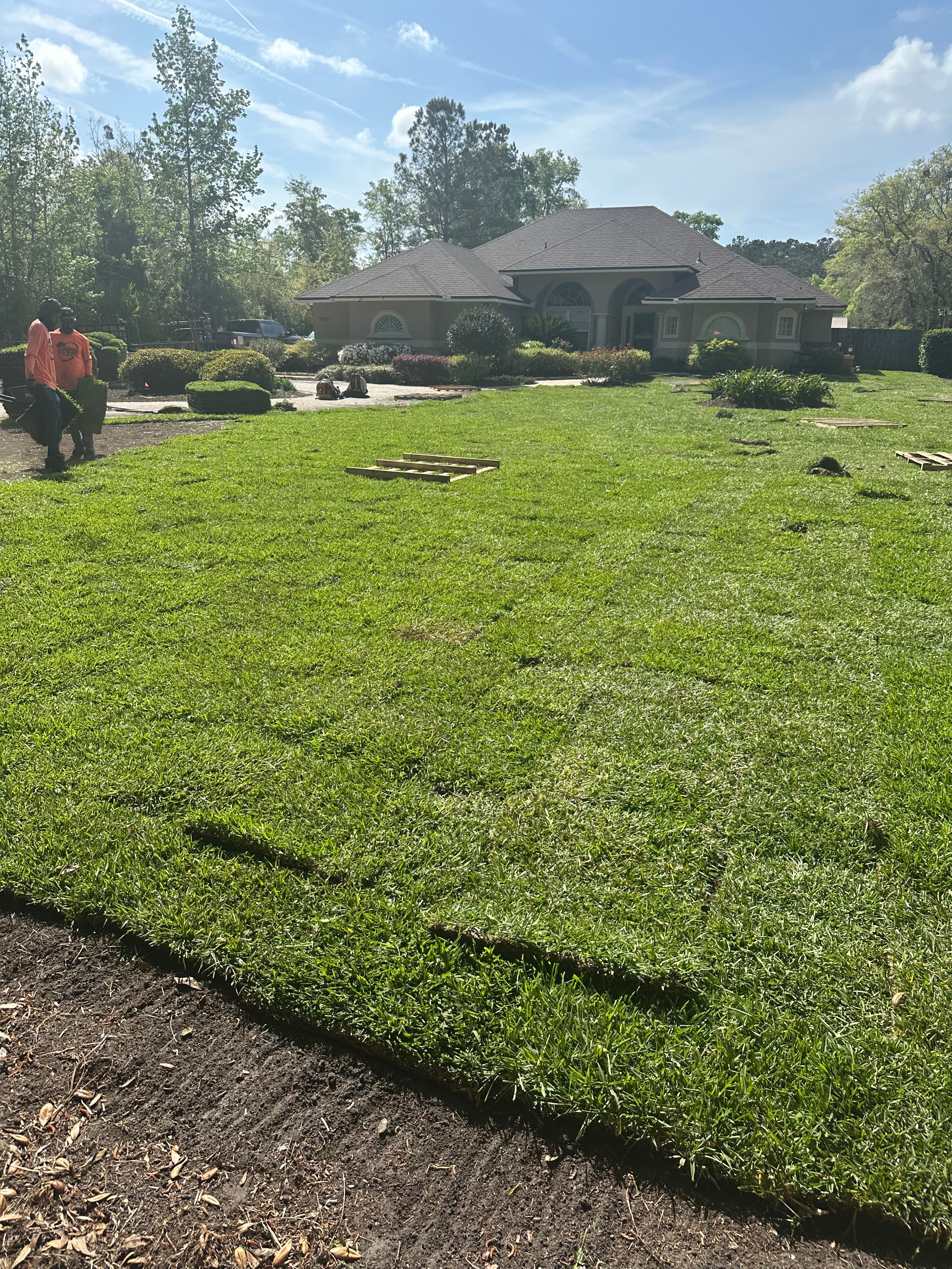 All Photos for All of the Above Landscaping in Orange Park, FL