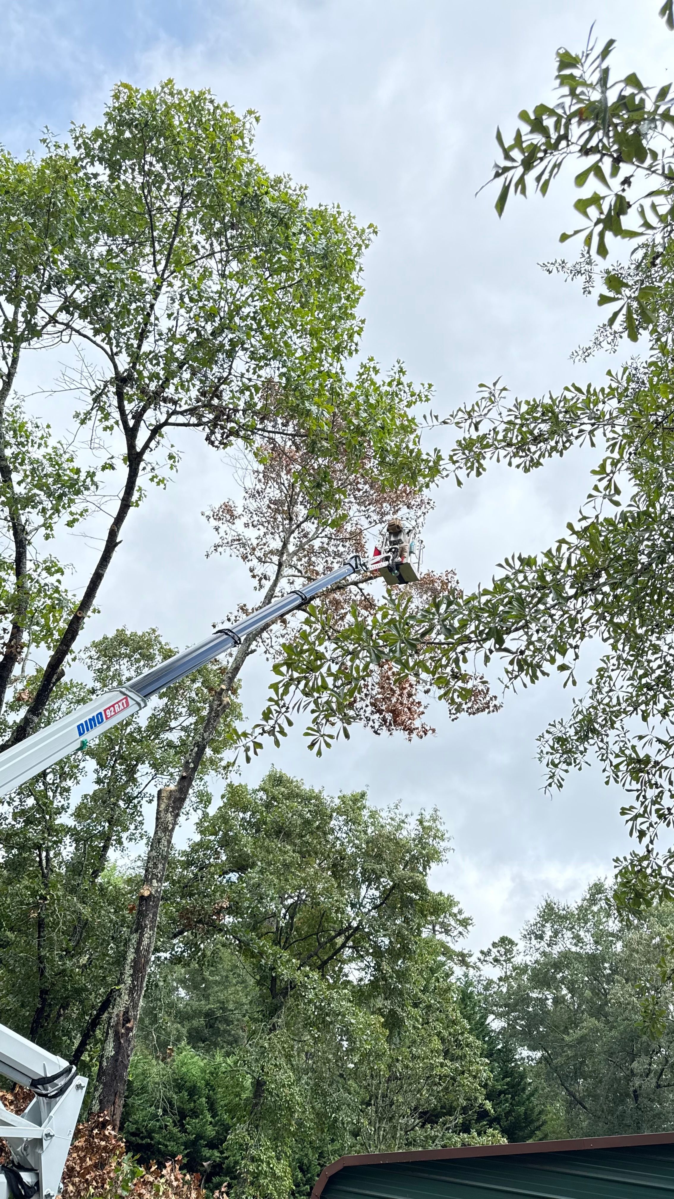  for Owens Tree Services in Inman, SC