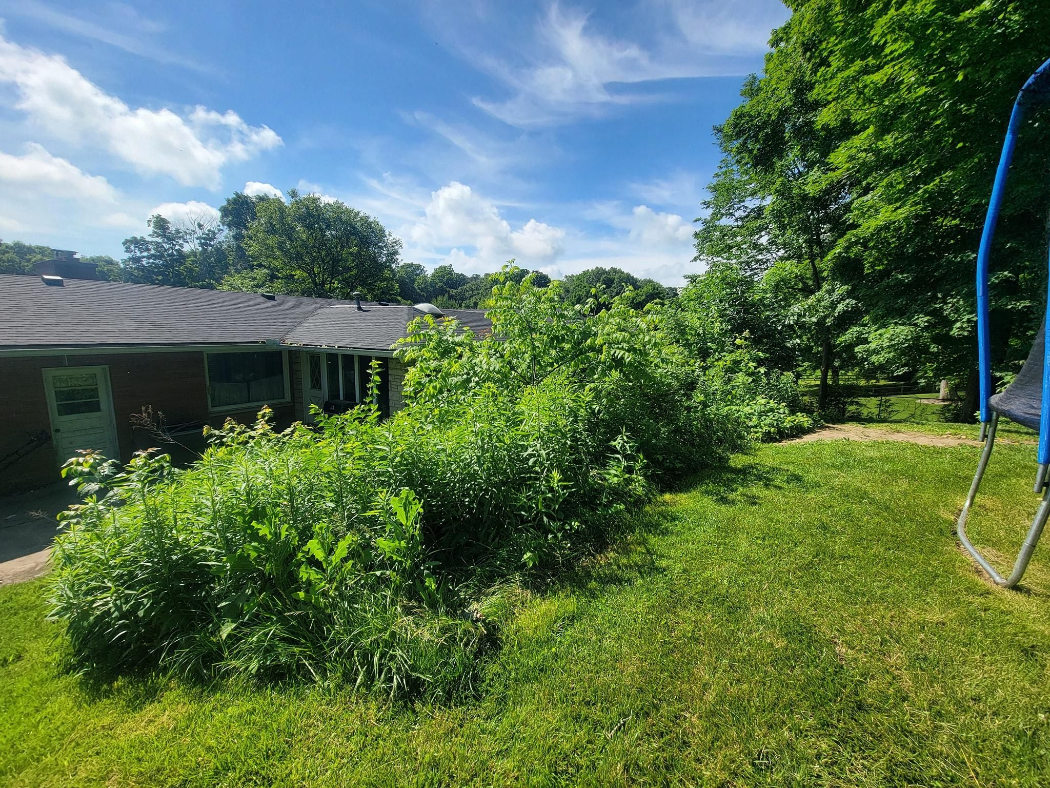 All Photos for Tingley's Green Land Services in Springfield, Ohio