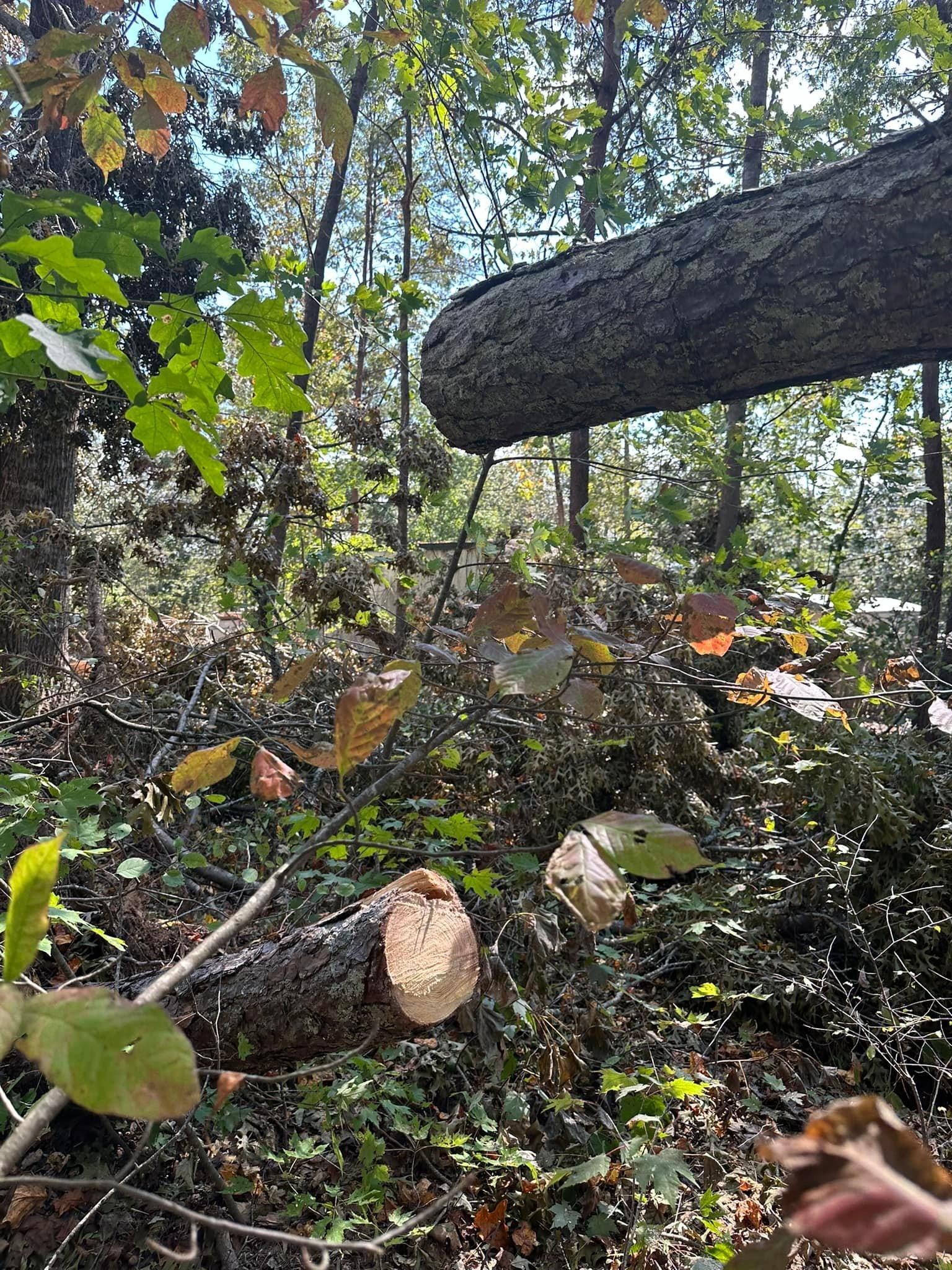 All Photos for The Flip Flop Roofer in Statesville, NC