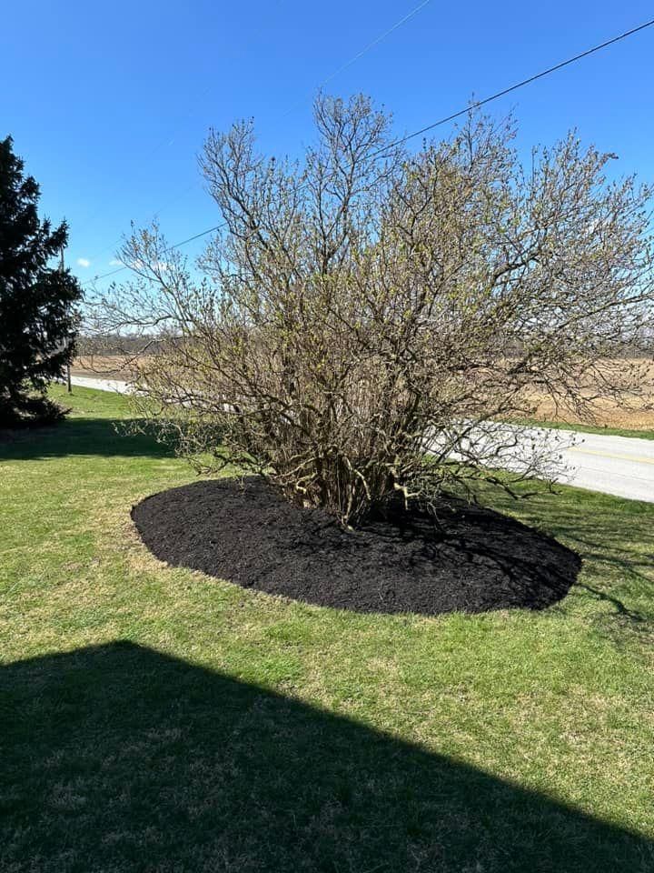  for OT Lawn and Landscaping LLC in Carey, OH