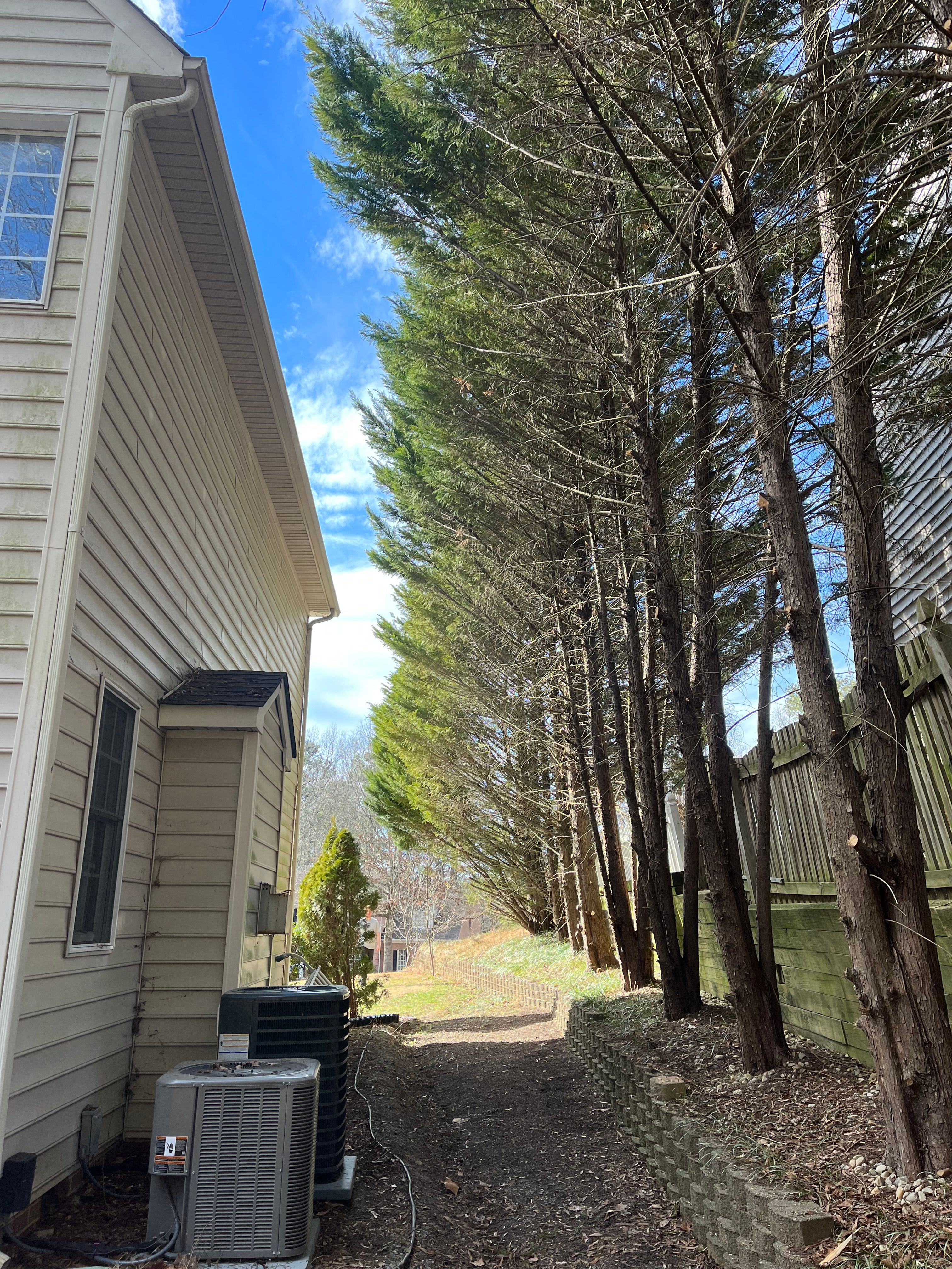  for Atlas Home Services in Mechanicsville, VA