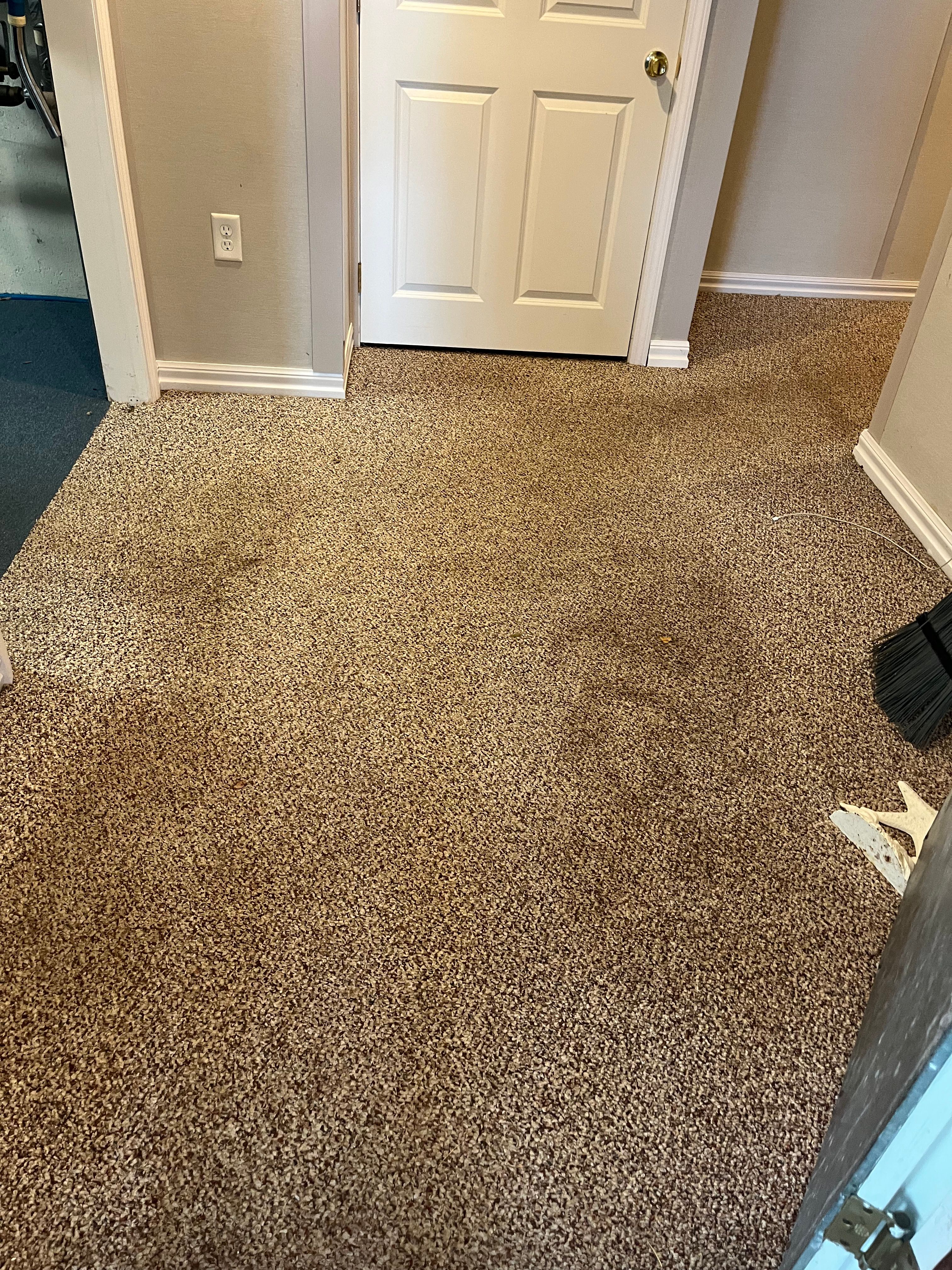  for Simply Wood Floors in Worcester, MA