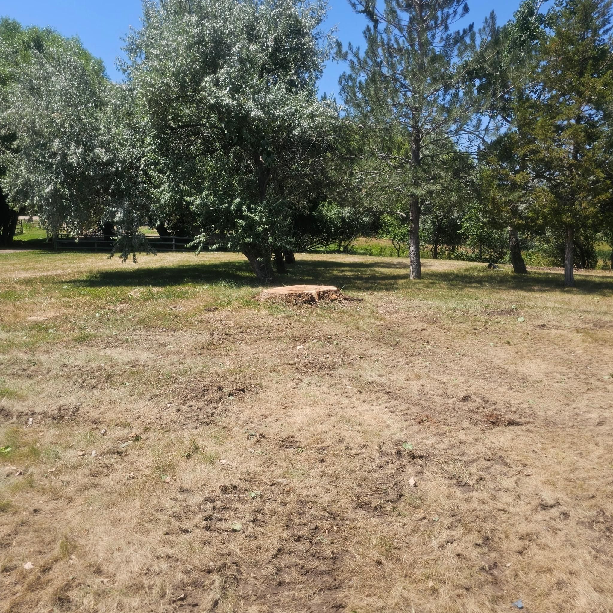  for Two Fellers Tree Service in Buffalo, WY