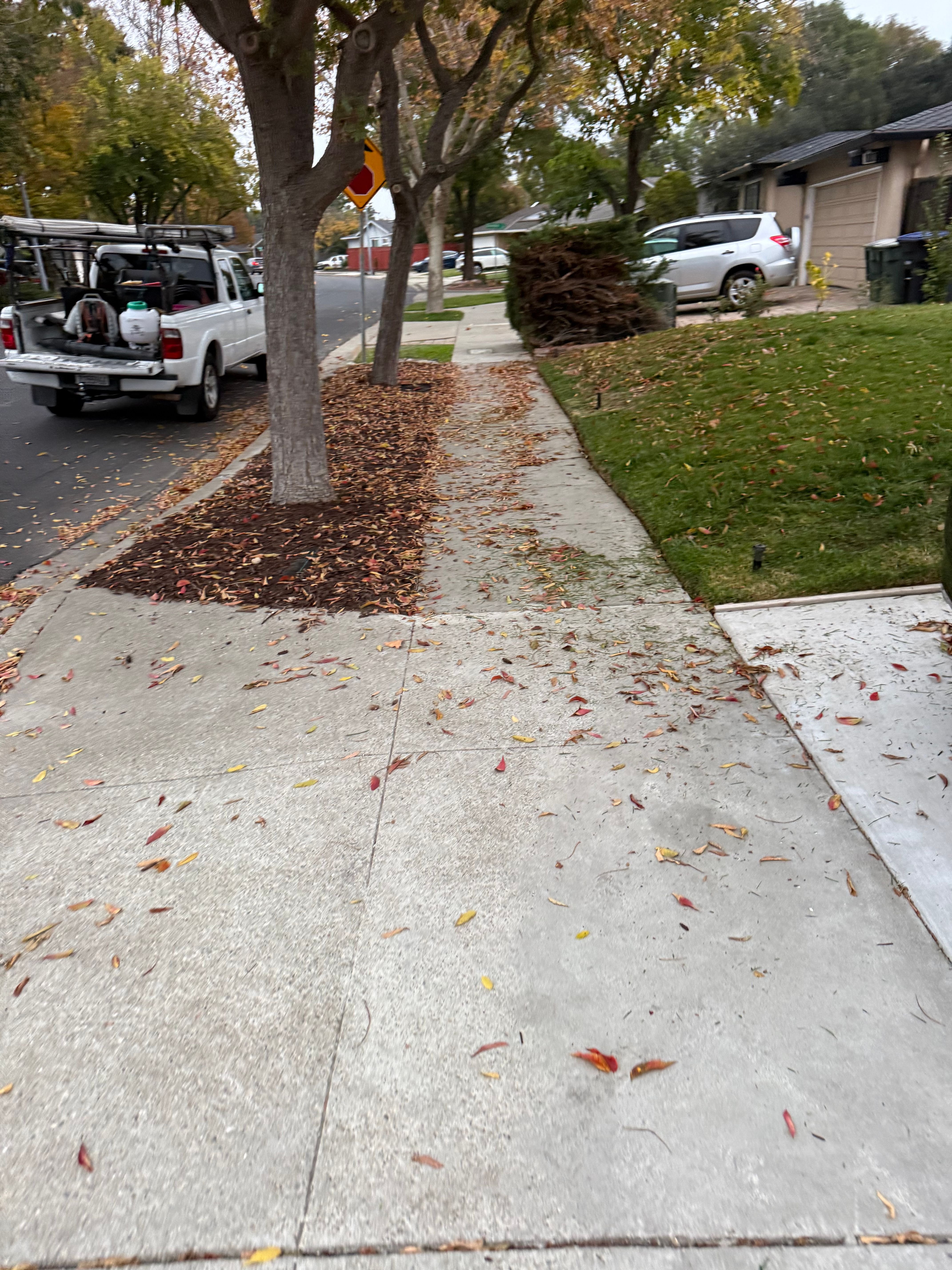  for CBA Landscaping in Hayward, CA