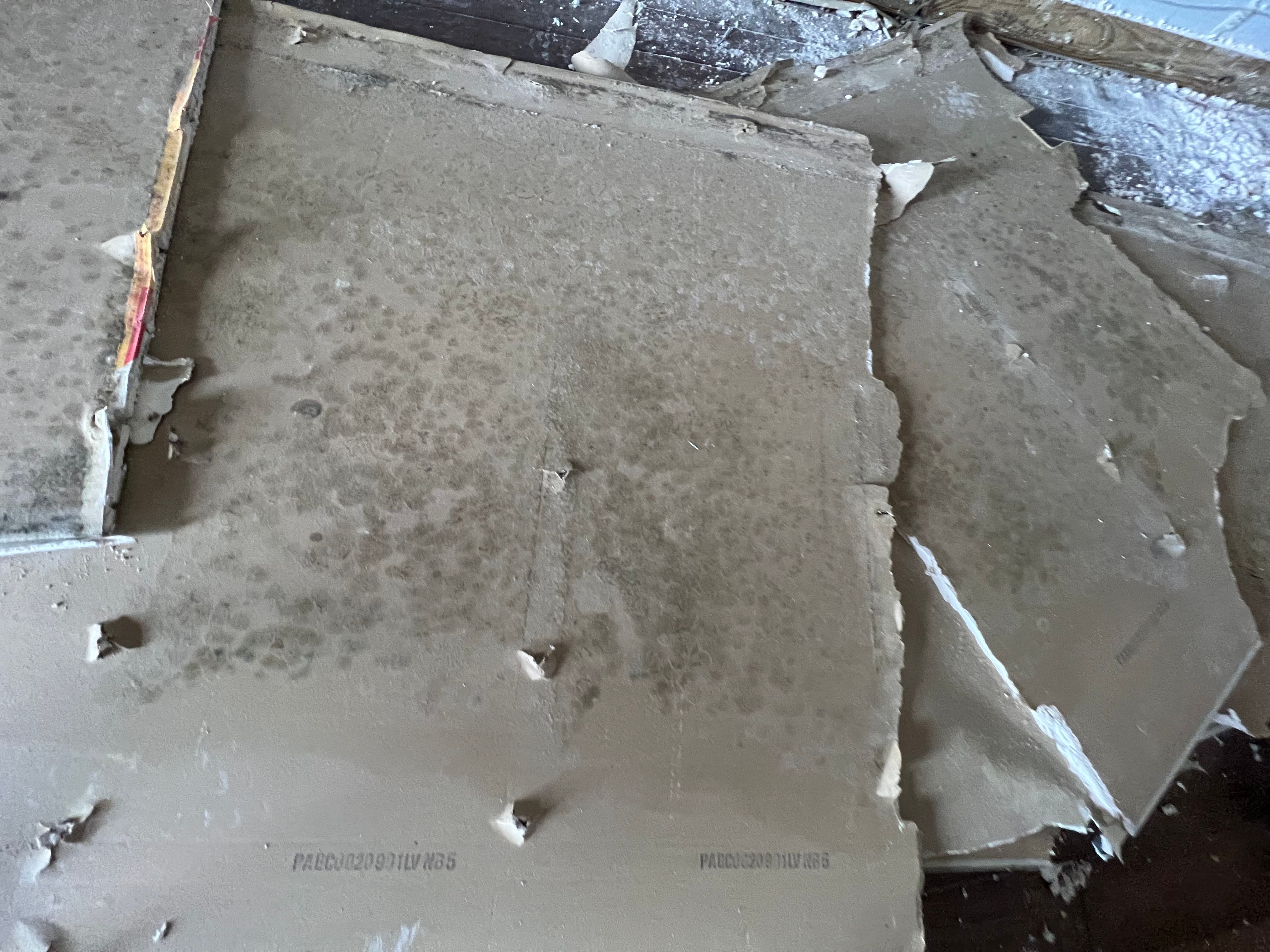  for N&D Restoration Services When Disaster Strikes, We Come In in Cape Coral,  FL