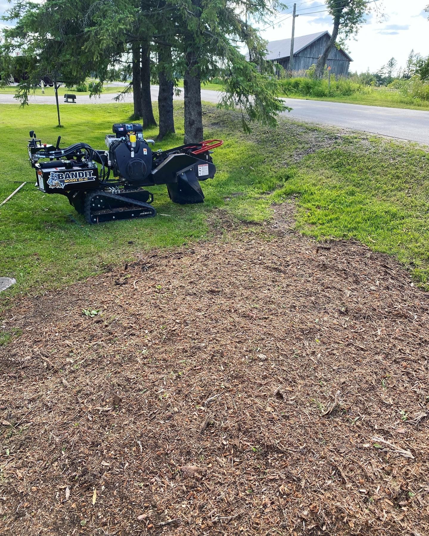 Stump Grinding for Bear Creek Tree Service LLC in Rudyard, MI