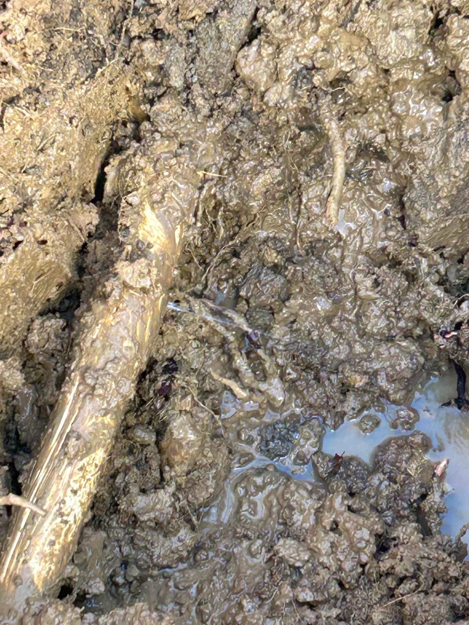  for Pro Plumbing and Home Improvements in Goodlettsville, TN