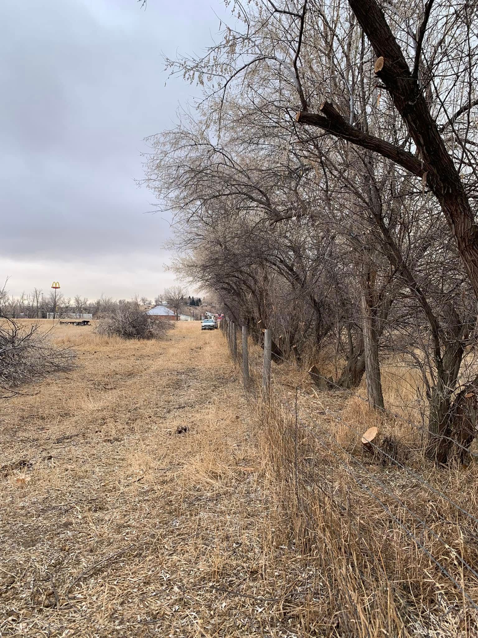  for Two Fellers Tree Service in Buffalo, WY