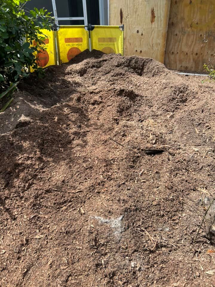  for Grizzly Stump Grinding in Sarasota, FL