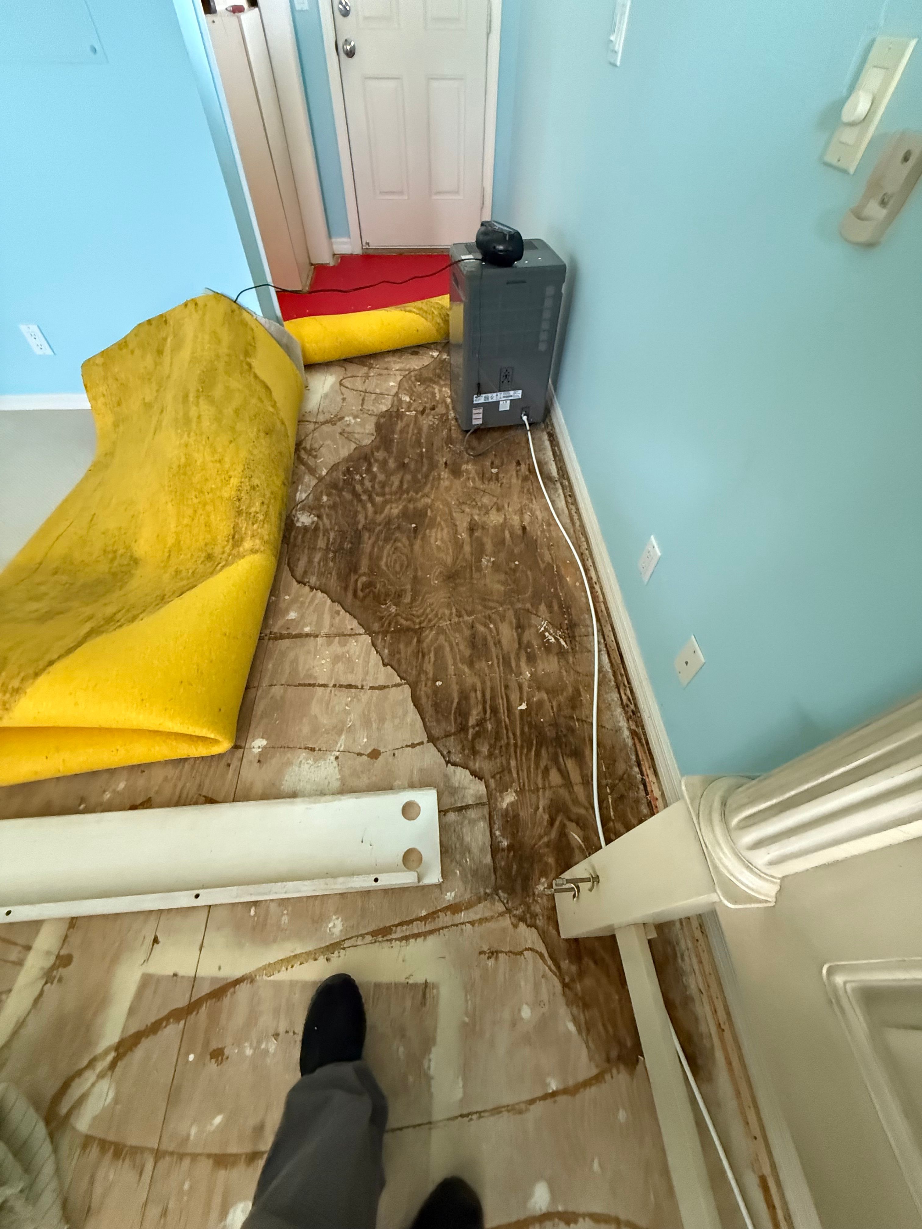  for N&D Restoration Services When Disaster Strikes, We Come In in Cape Coral,  FL