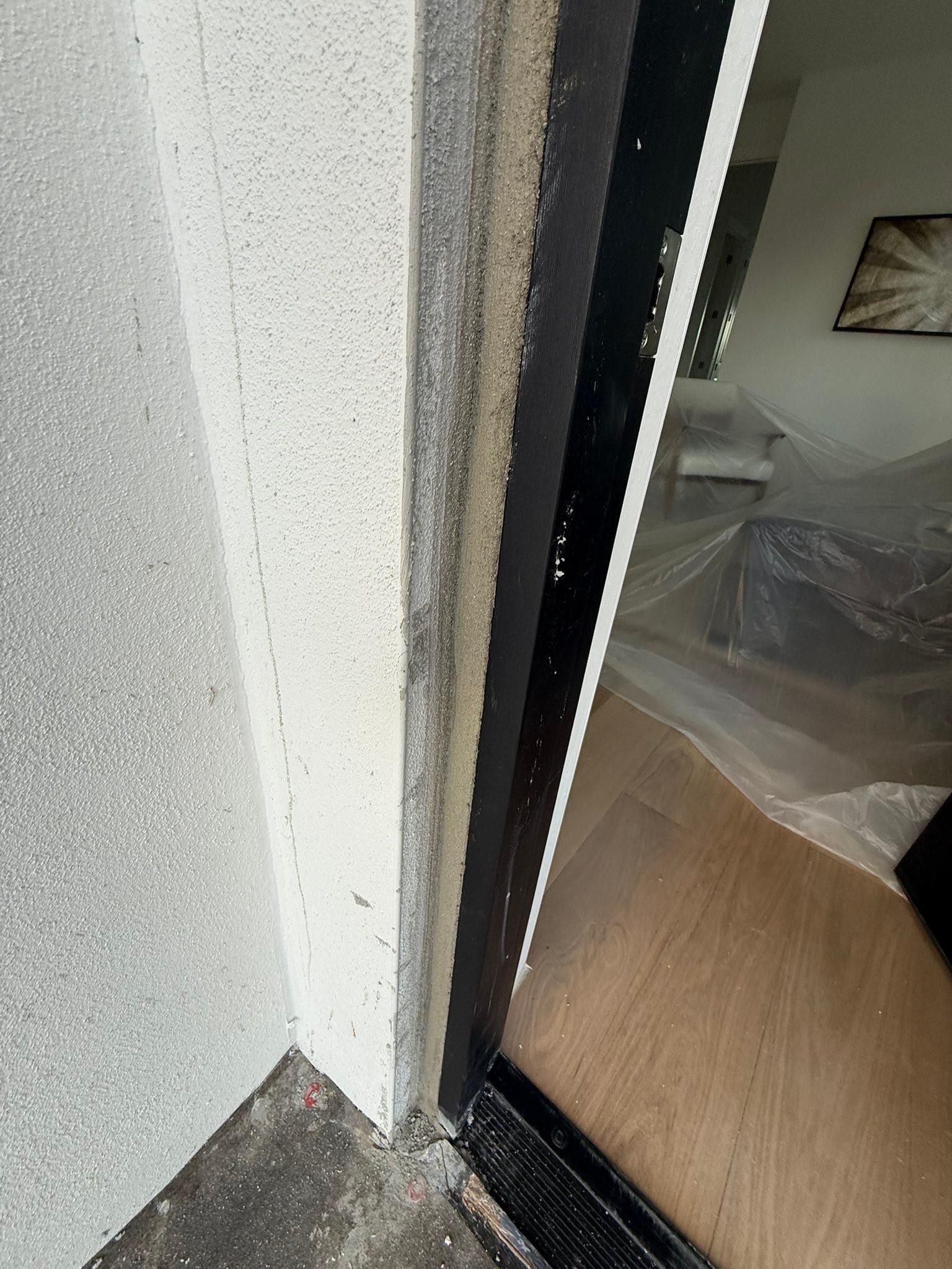  for Escorpio Painting in Tampa, FL