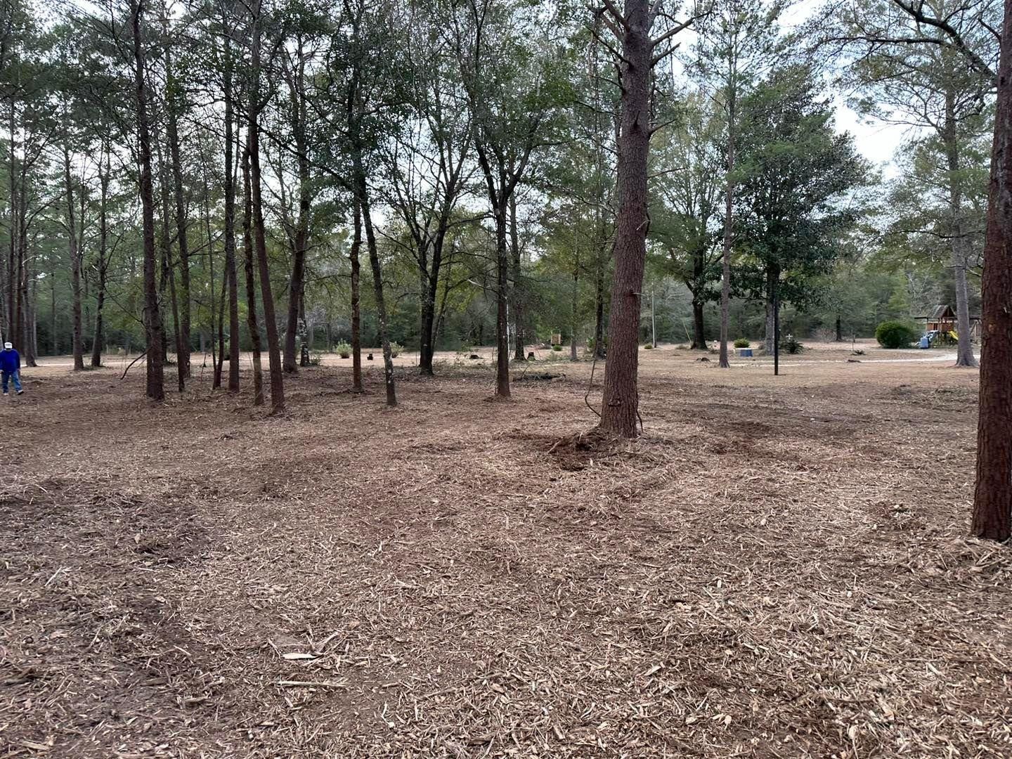 All Photos for White’s Land Maintenance in Milton,, FL