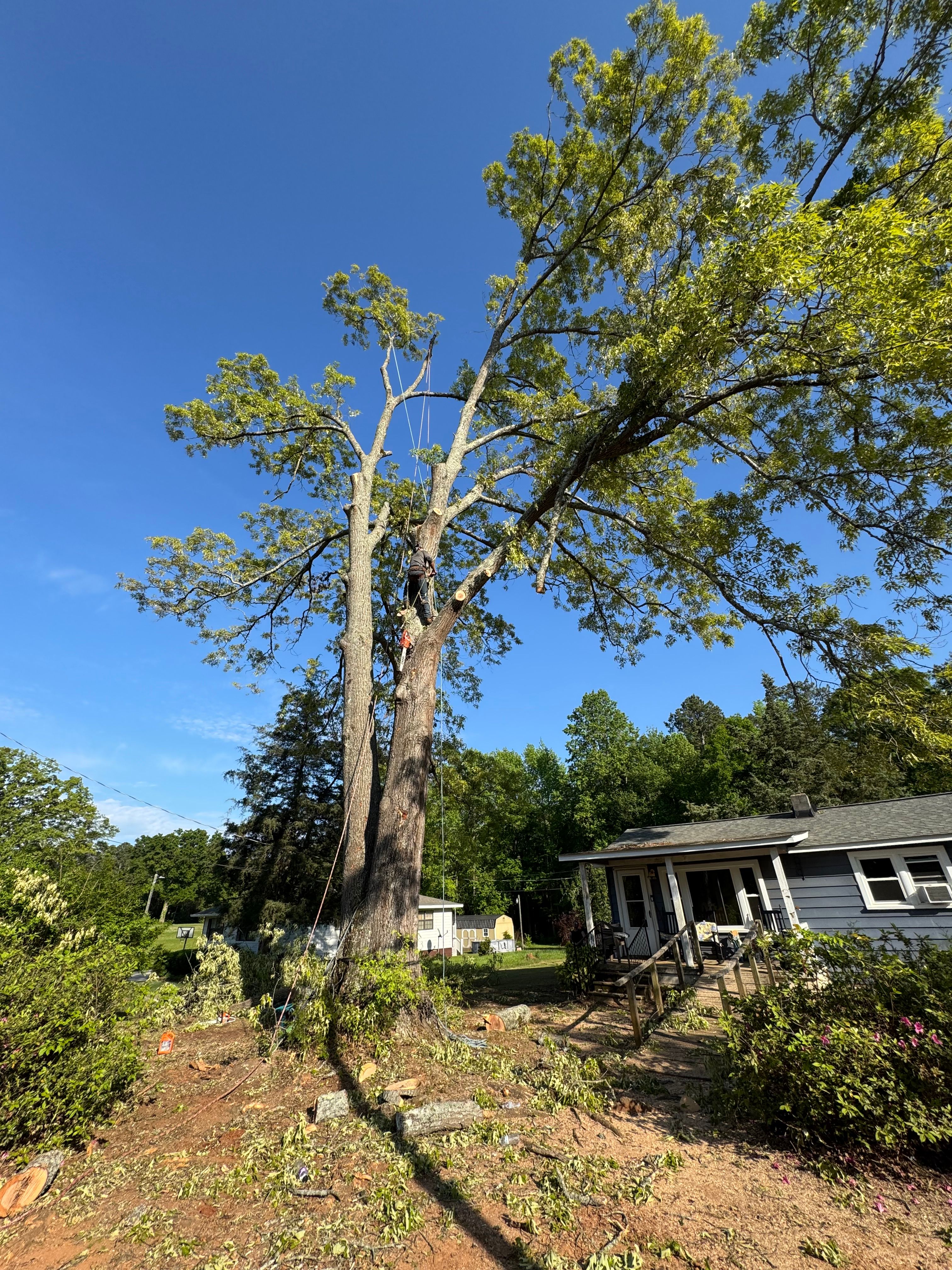  for Thin Green Line Landscaping & More in Laurens, SC