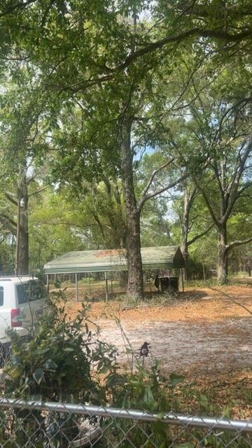  for All Seasons Tree and Land Works in Trenton, FL