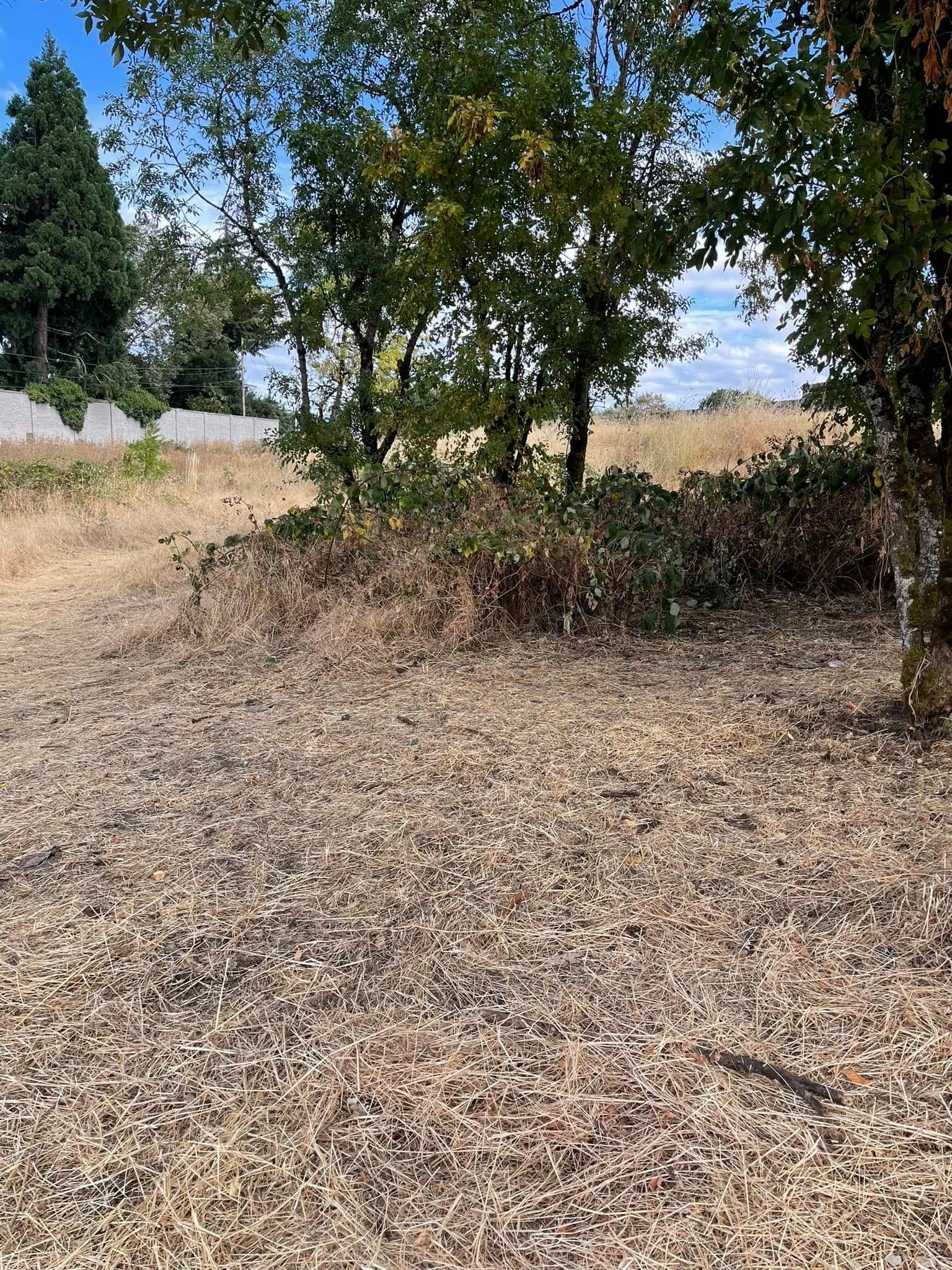  for JW&SON in Springfield, OR