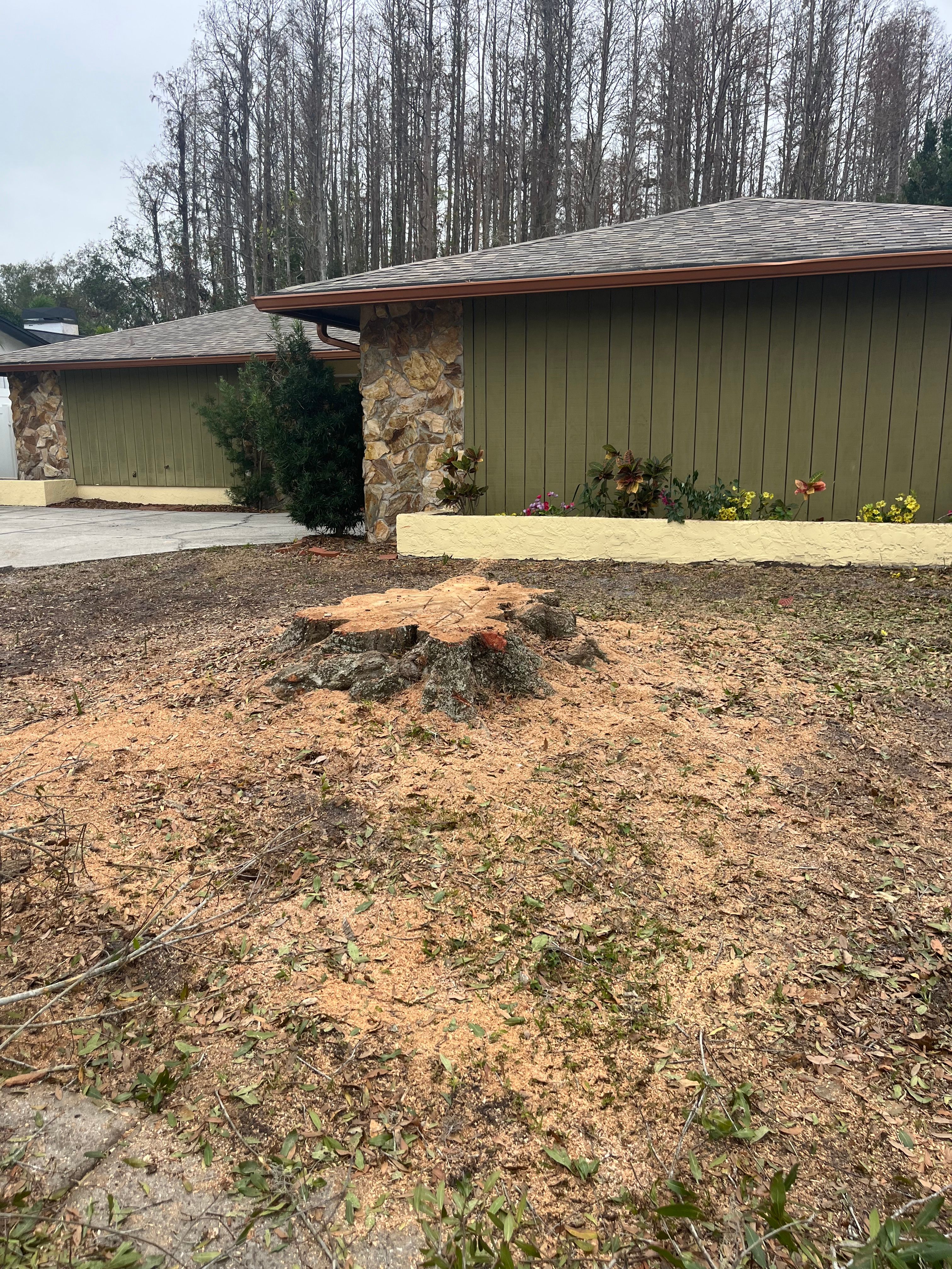  for KB’s Stump Removal in Seminole, FL