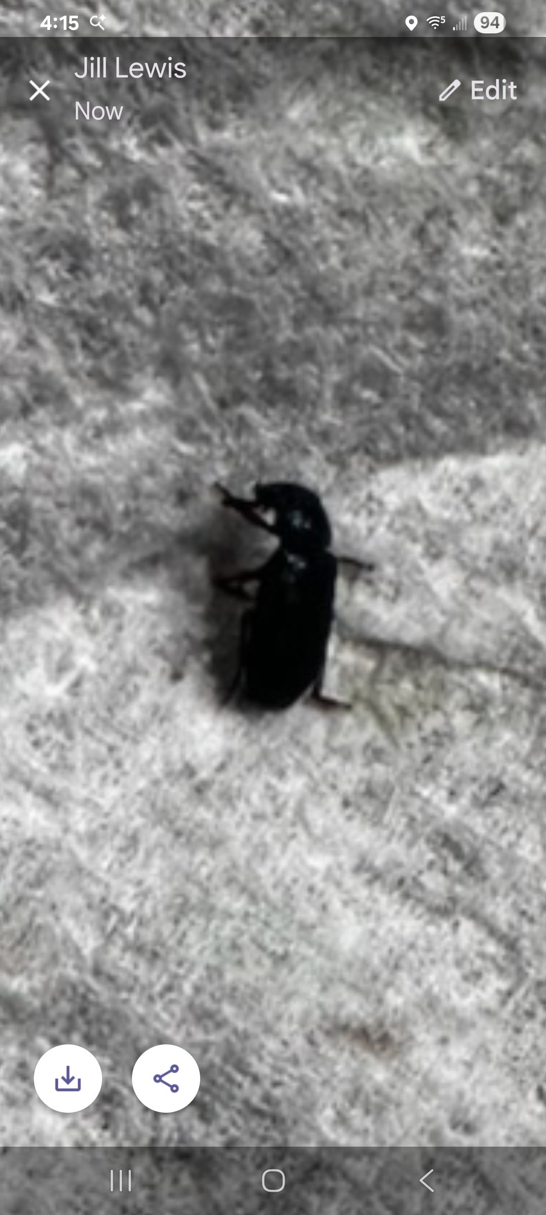 for Niko's Pest Control in Las Vegas, NV