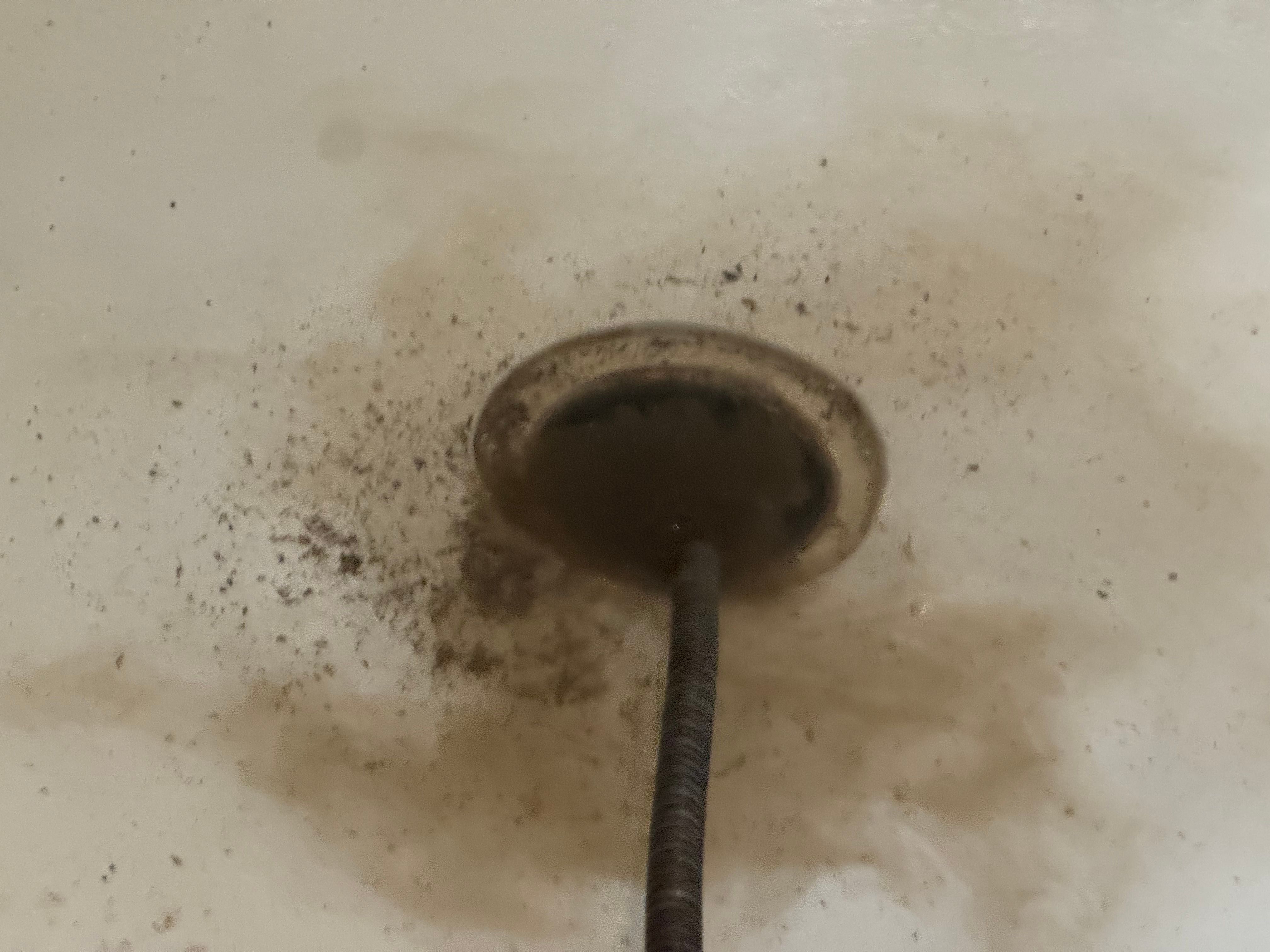  for Jersey Drain Masters in Williamstown, NJ