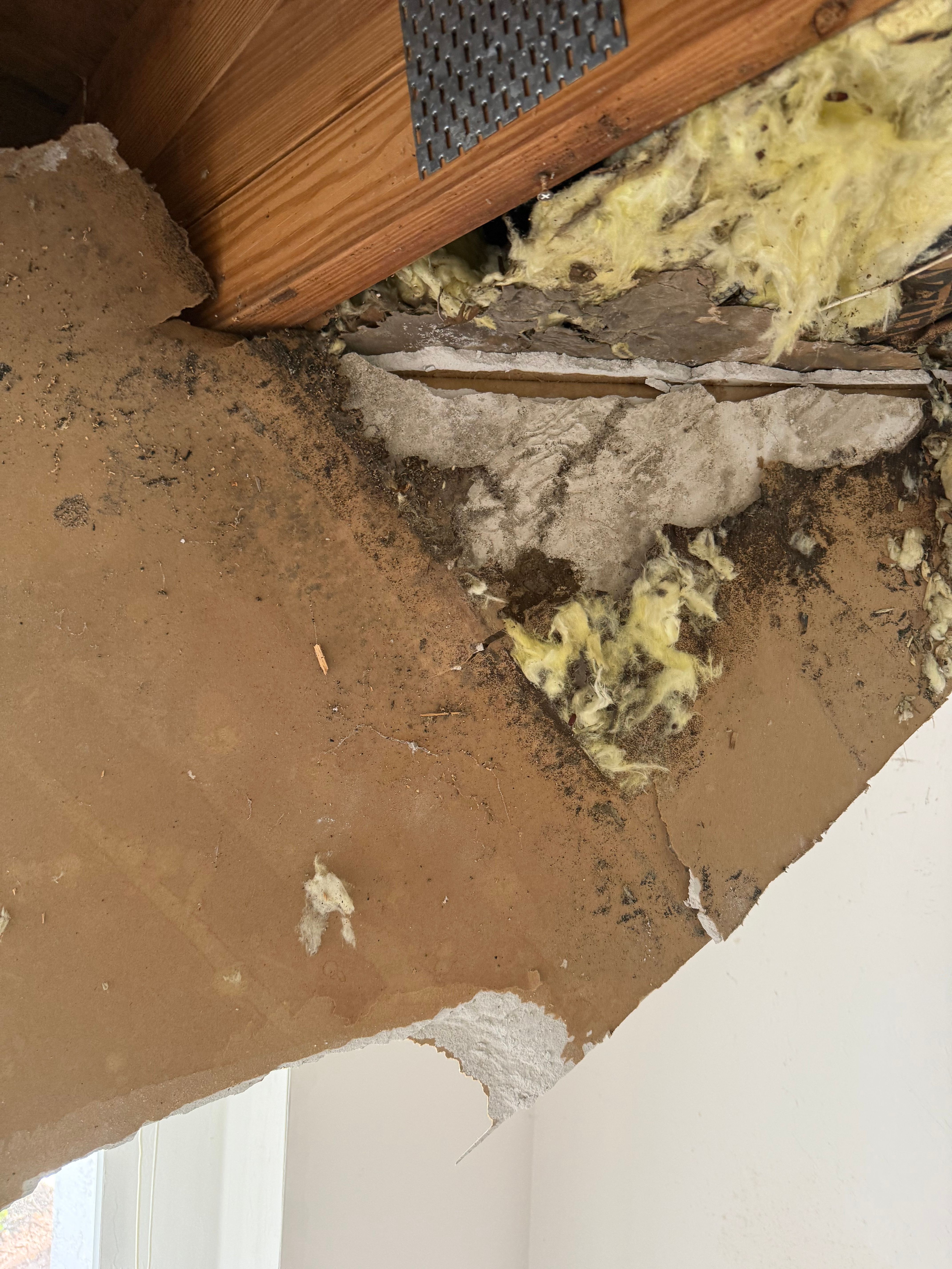  for N&D Restoration Services When Disaster Strikes, We Come In in Cape Coral,  FL