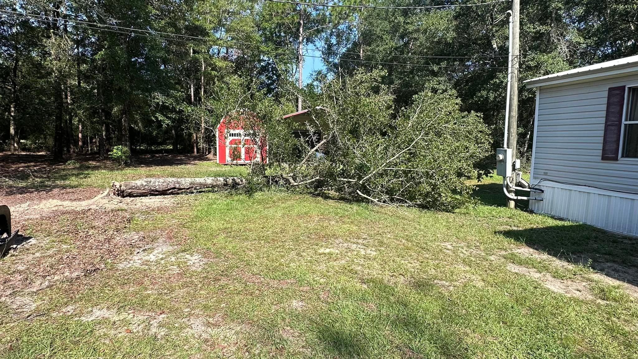  for White’s Land Maintenance in Milton,, FL