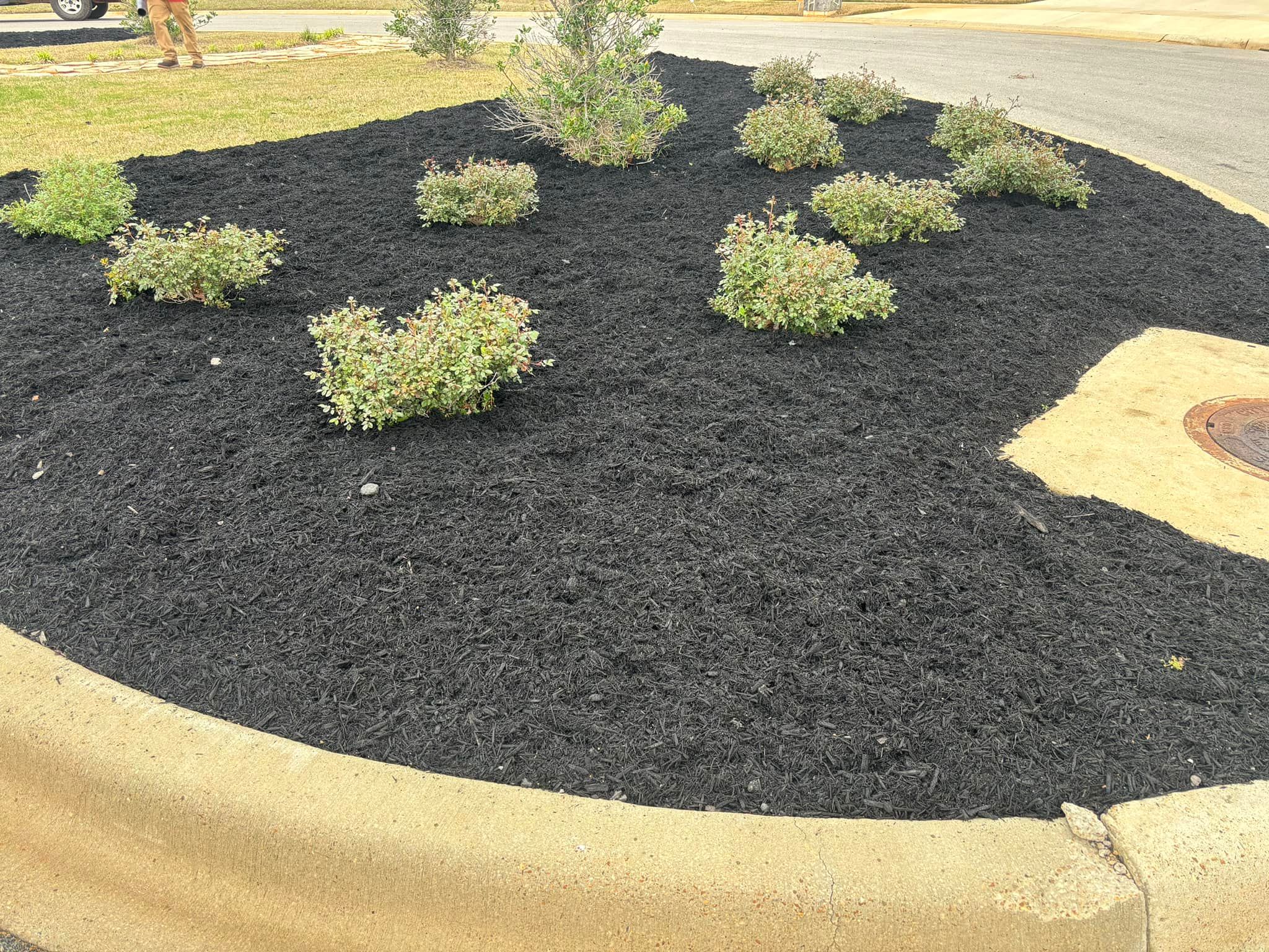  for Harness Lawn and Land Management  in Jonesboro ,  AR
