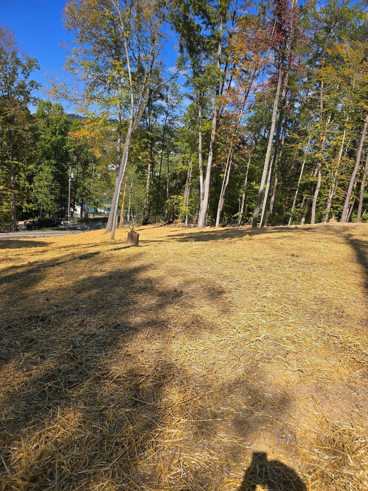  for Williams Lawn and Land in Sharps Chapel, TN