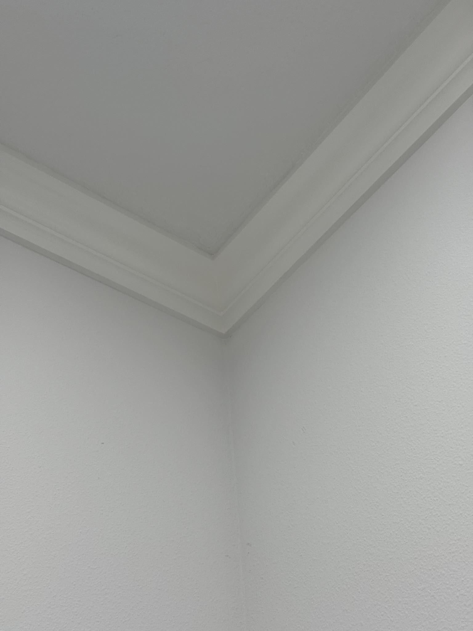  for Rich Construction Services in Parrish, FL