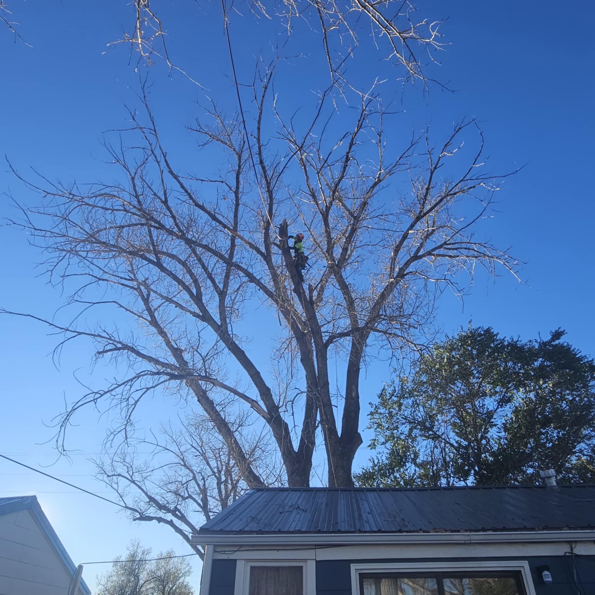  for Two Fellers Tree Service in Buffalo, WY