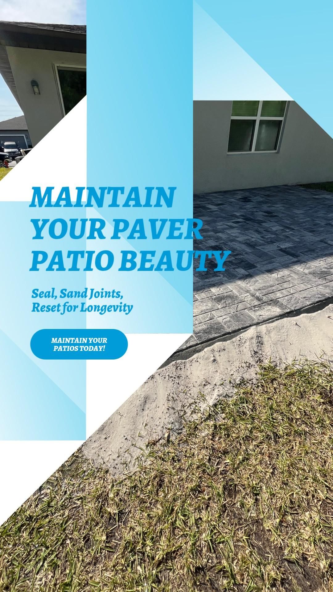 Tree Services for Ludlows Services in Clermont, FL