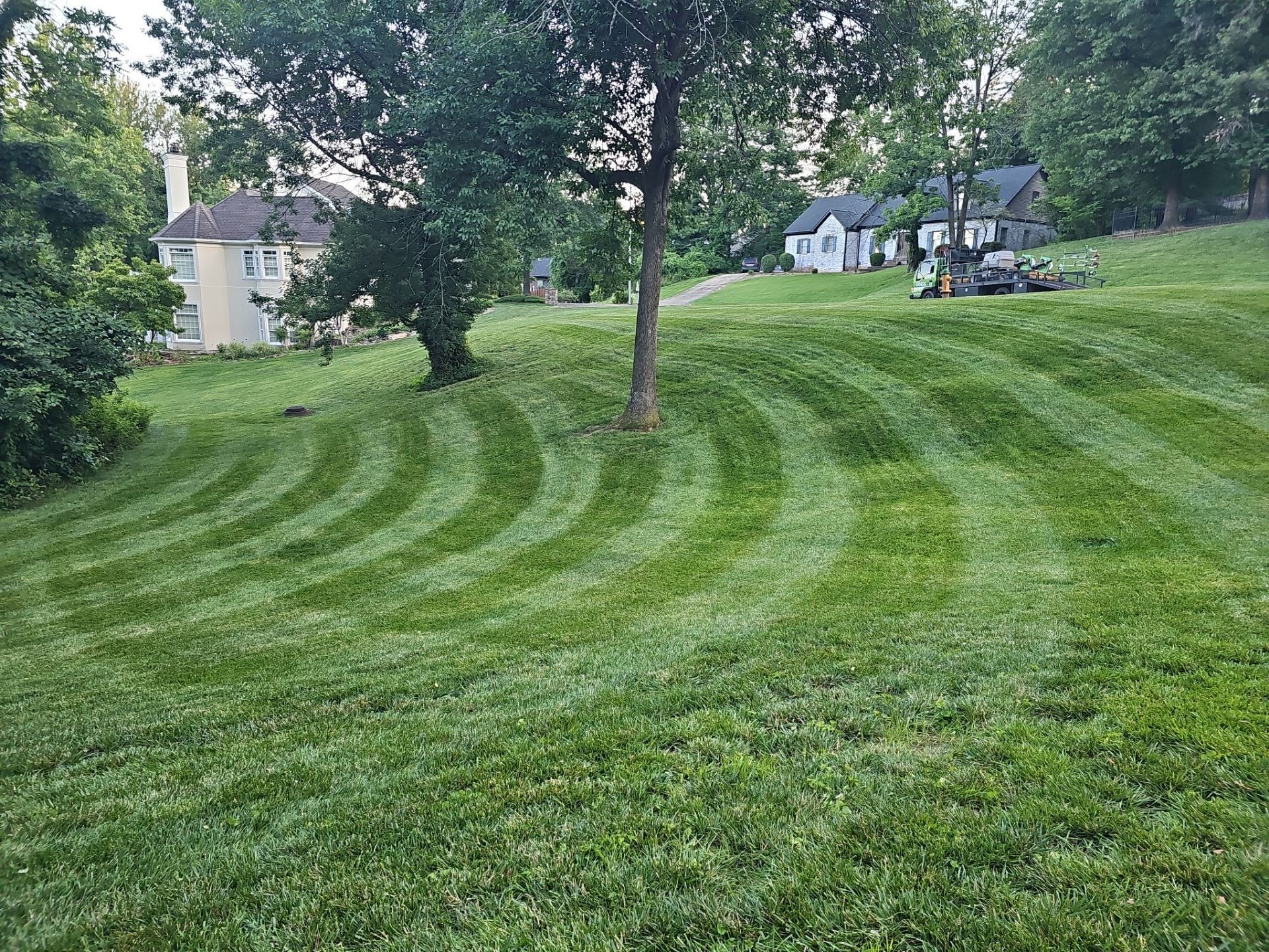  for The Grass Guys™ in Evansville, IN