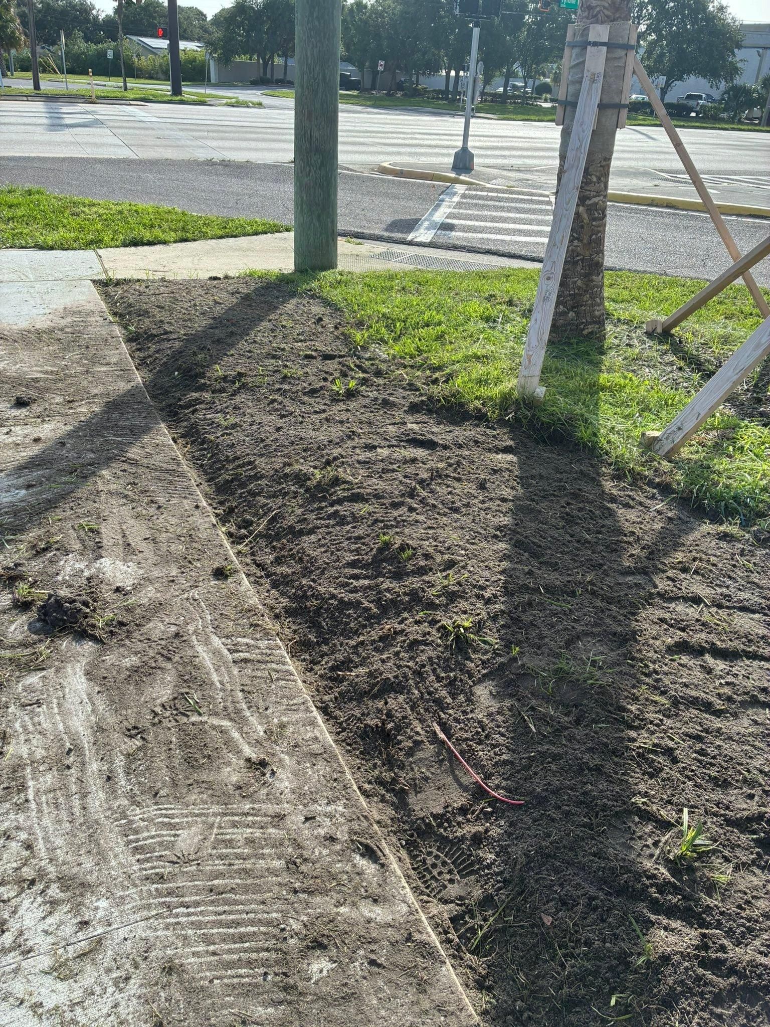  for Gulf Bay Sod in Clearwater, FL