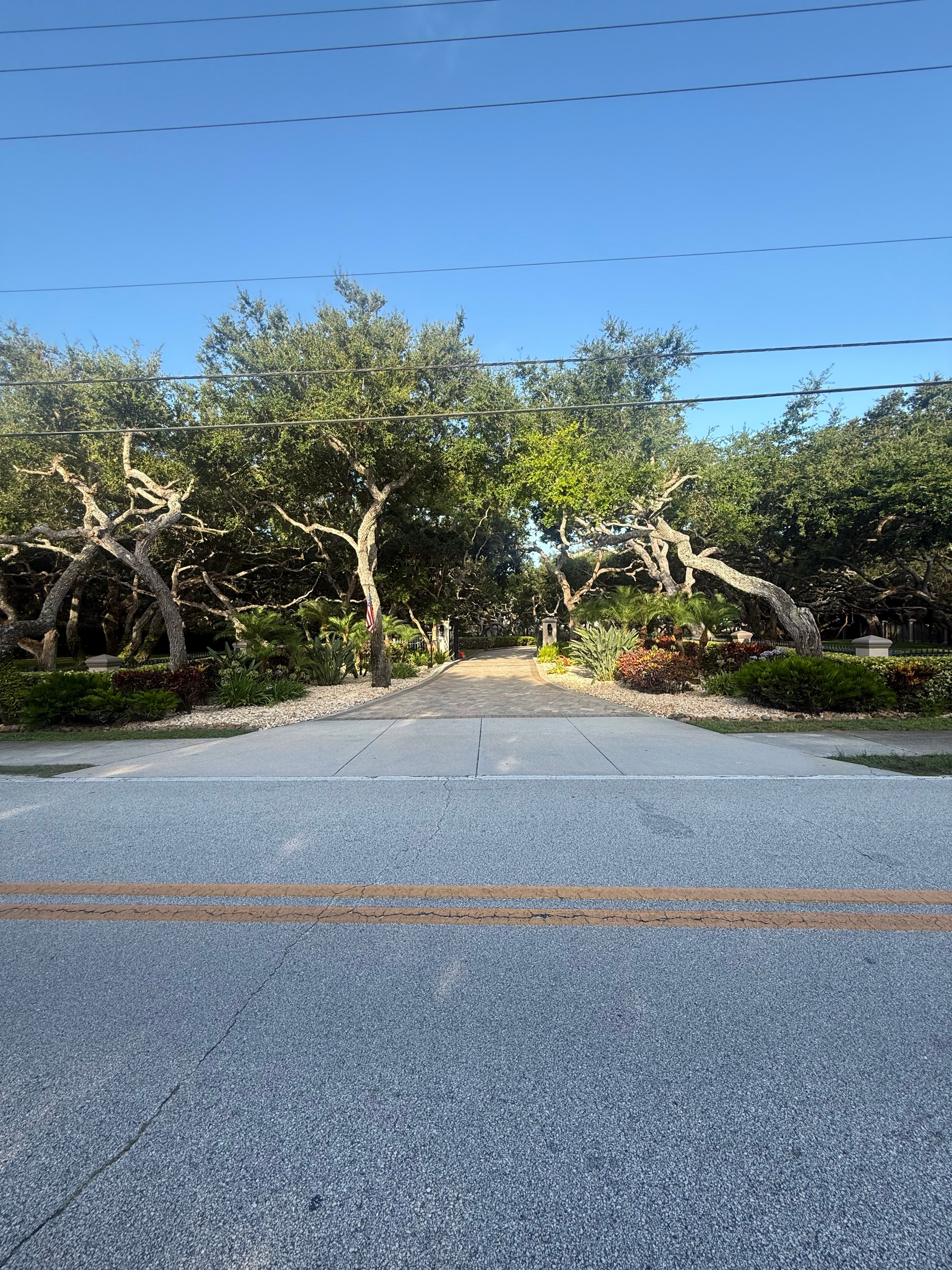  for Vanic's Landscaping in Port Orange, FL