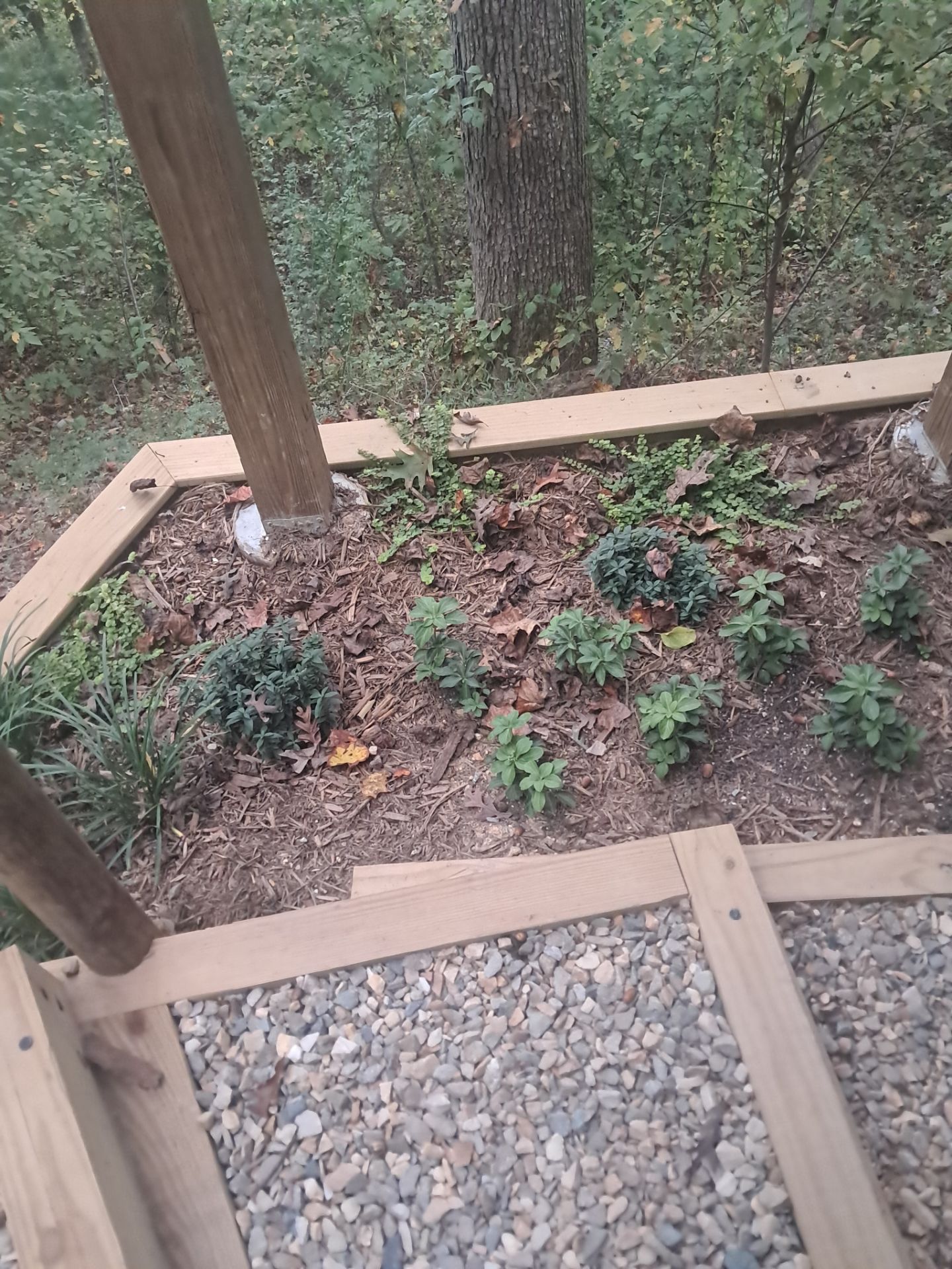  for Rescue Grading & Landscaping in Marietta, SC