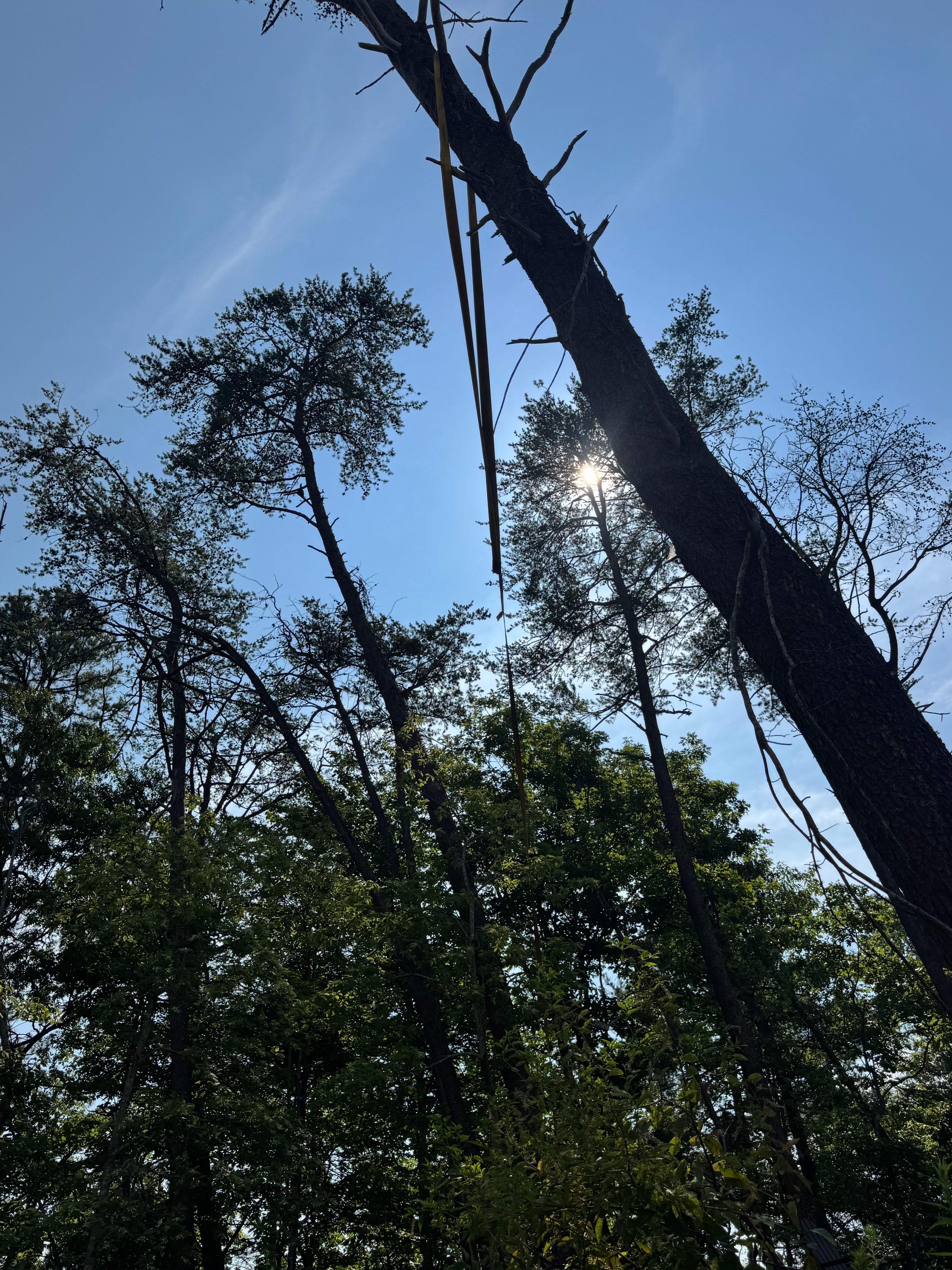  for ProModern Construction, LLC in Seymour, TN