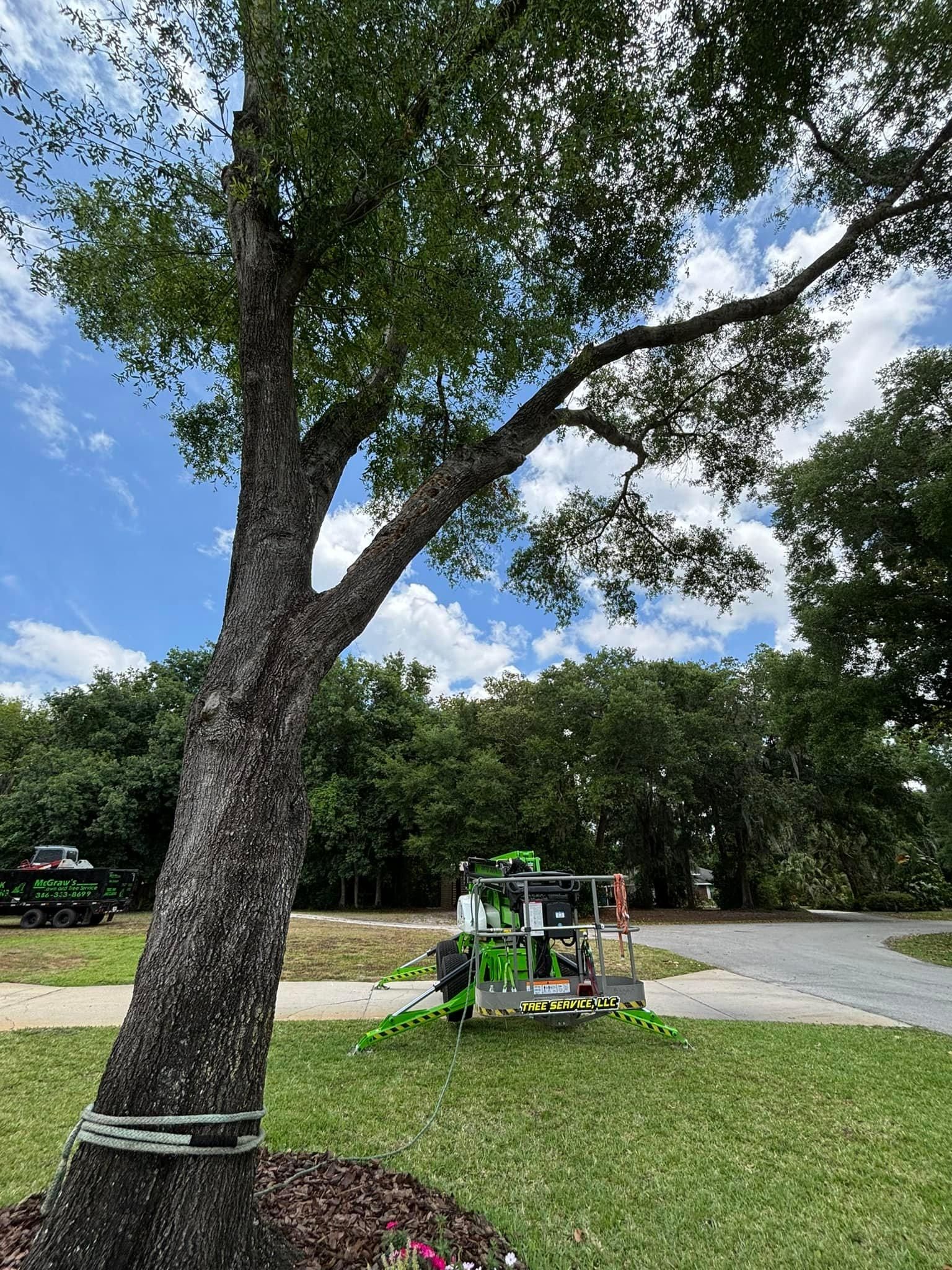  for McGraw’s Lawn and Tree Service in DeLand, FL